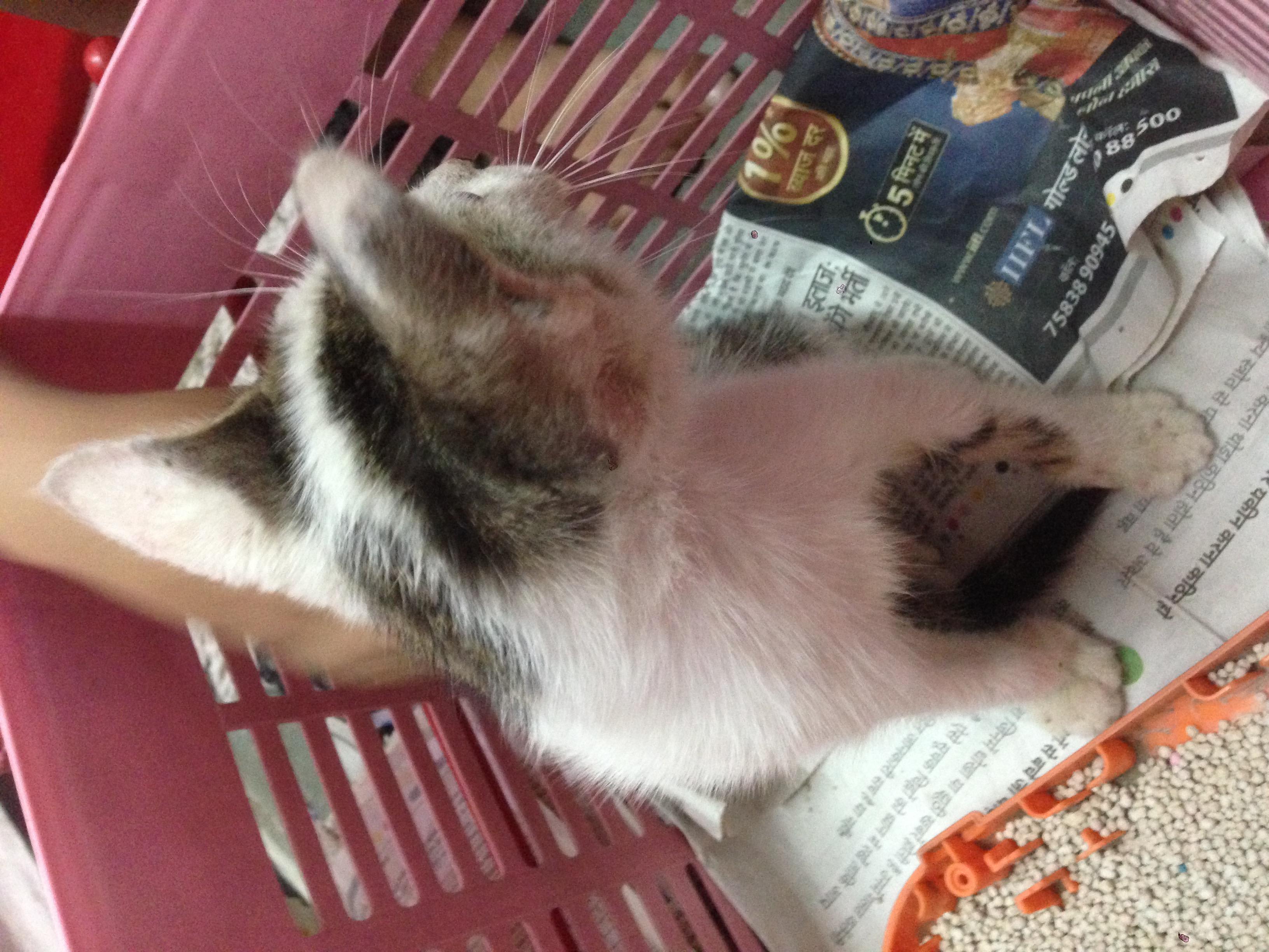 Question details sensitive content