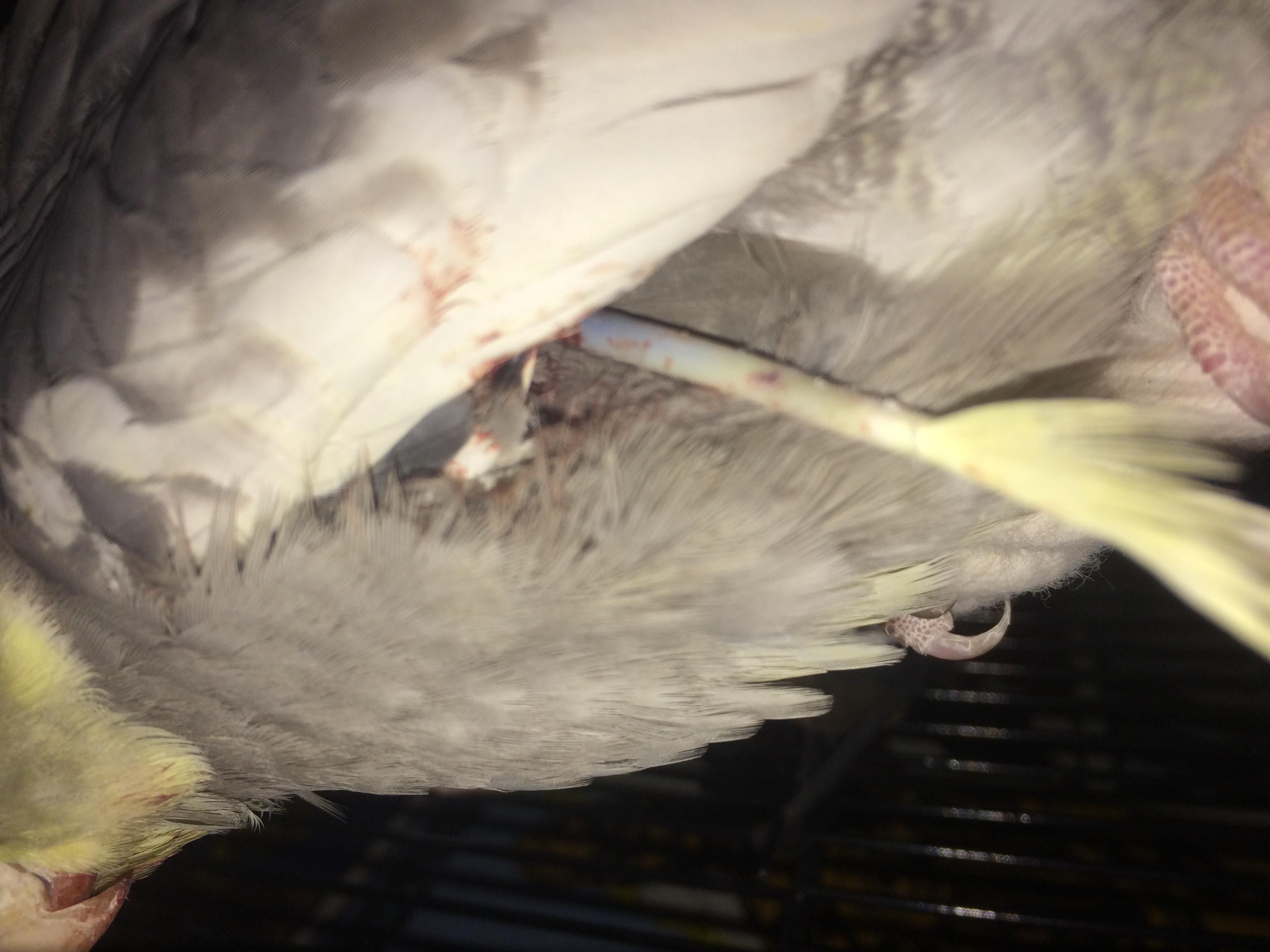 Question details sensitive content