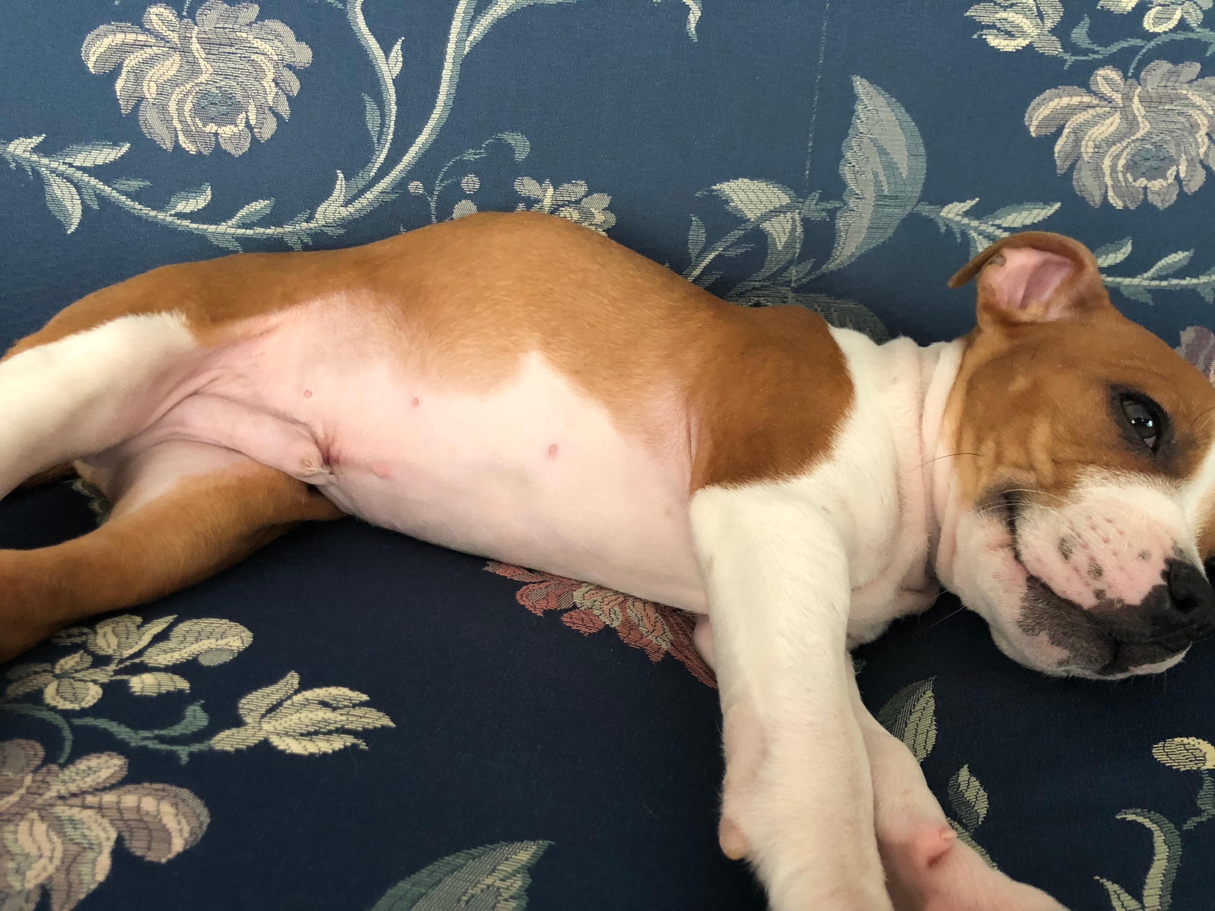 Question details sensitive content