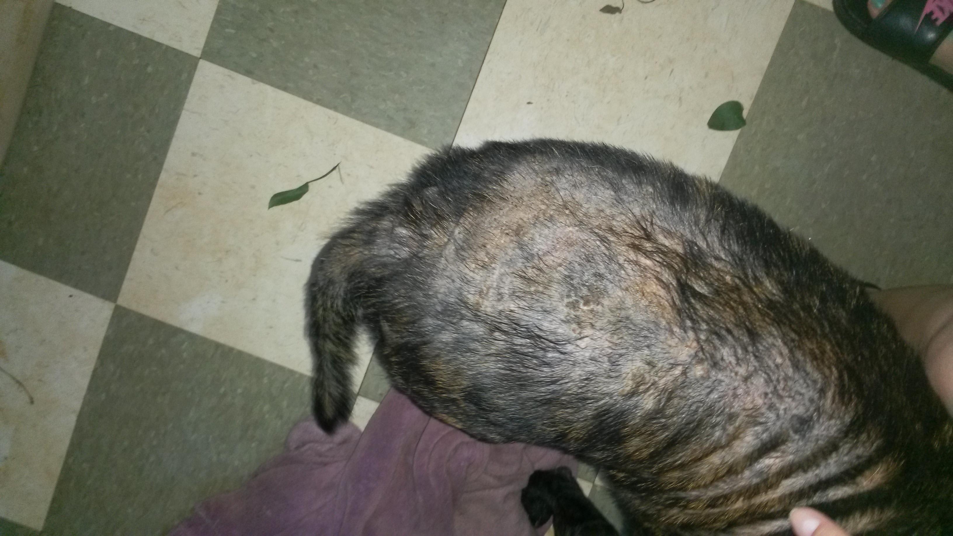 Question details sensitive content