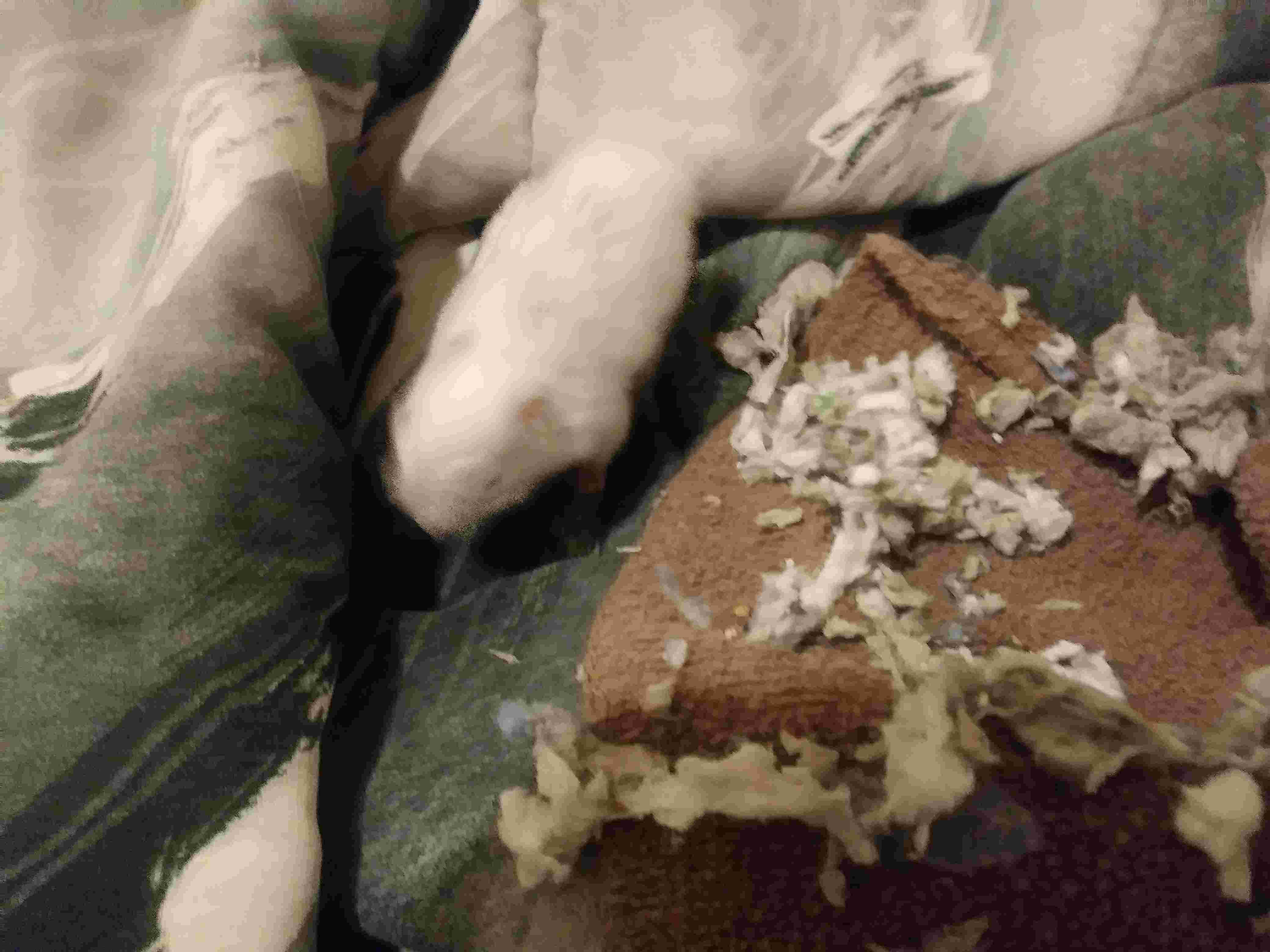 Question details sensitive content