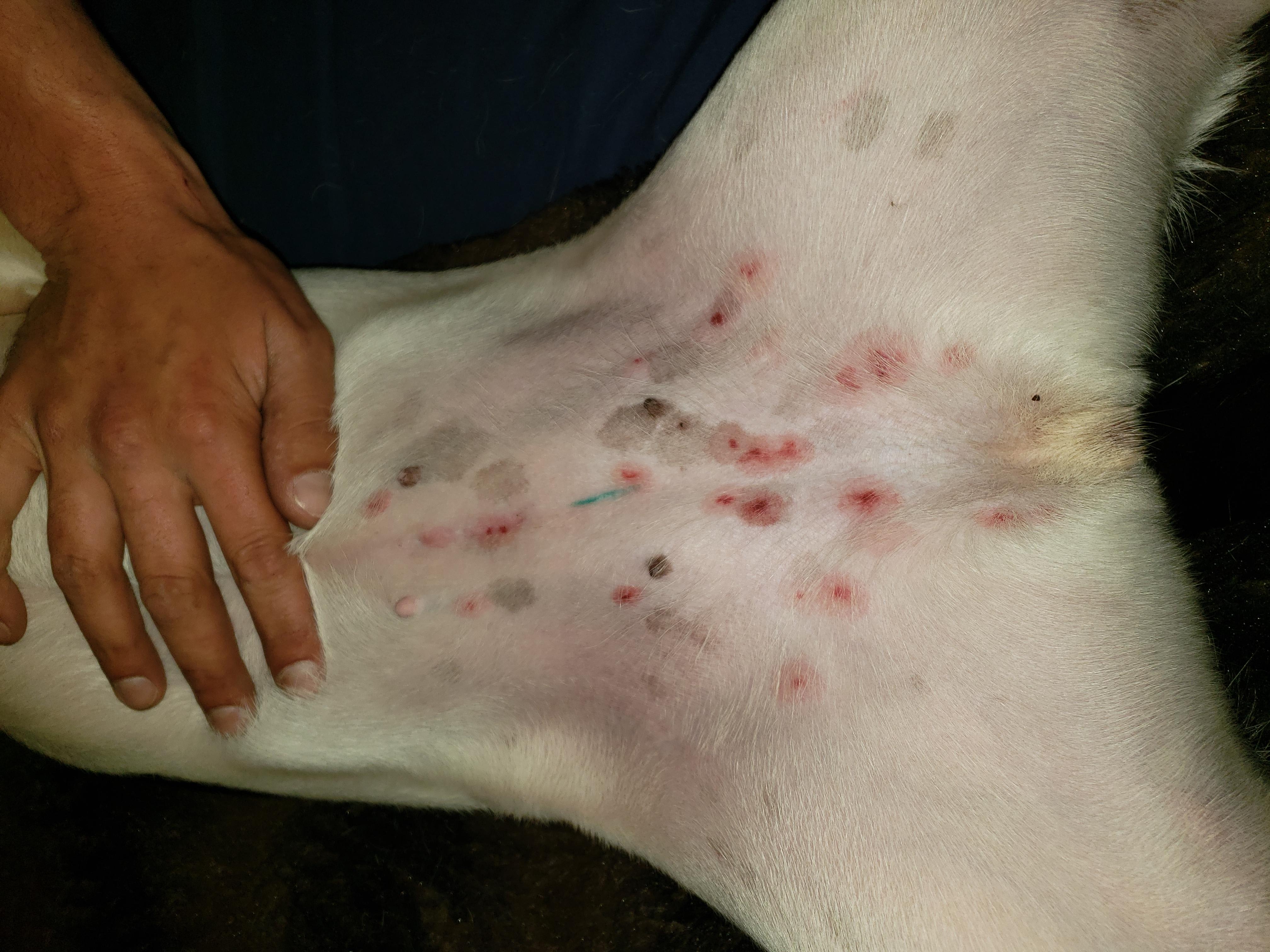 Question details sensitive content