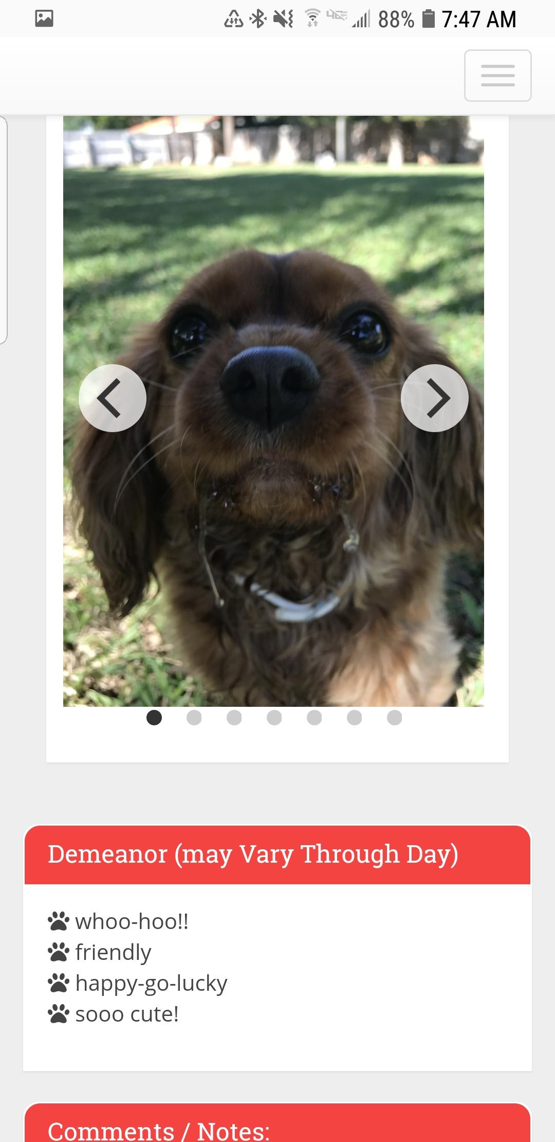 Question details sensitive content