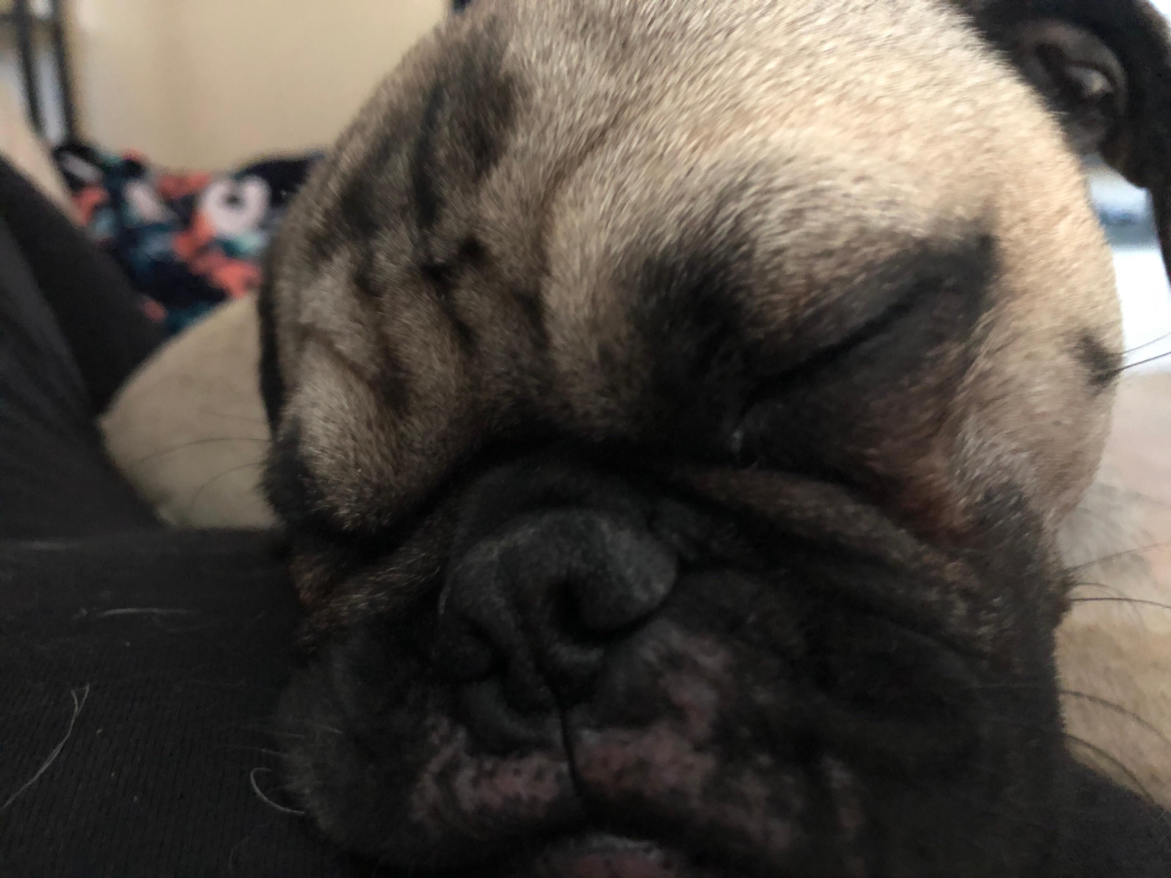 Question details sensitive content