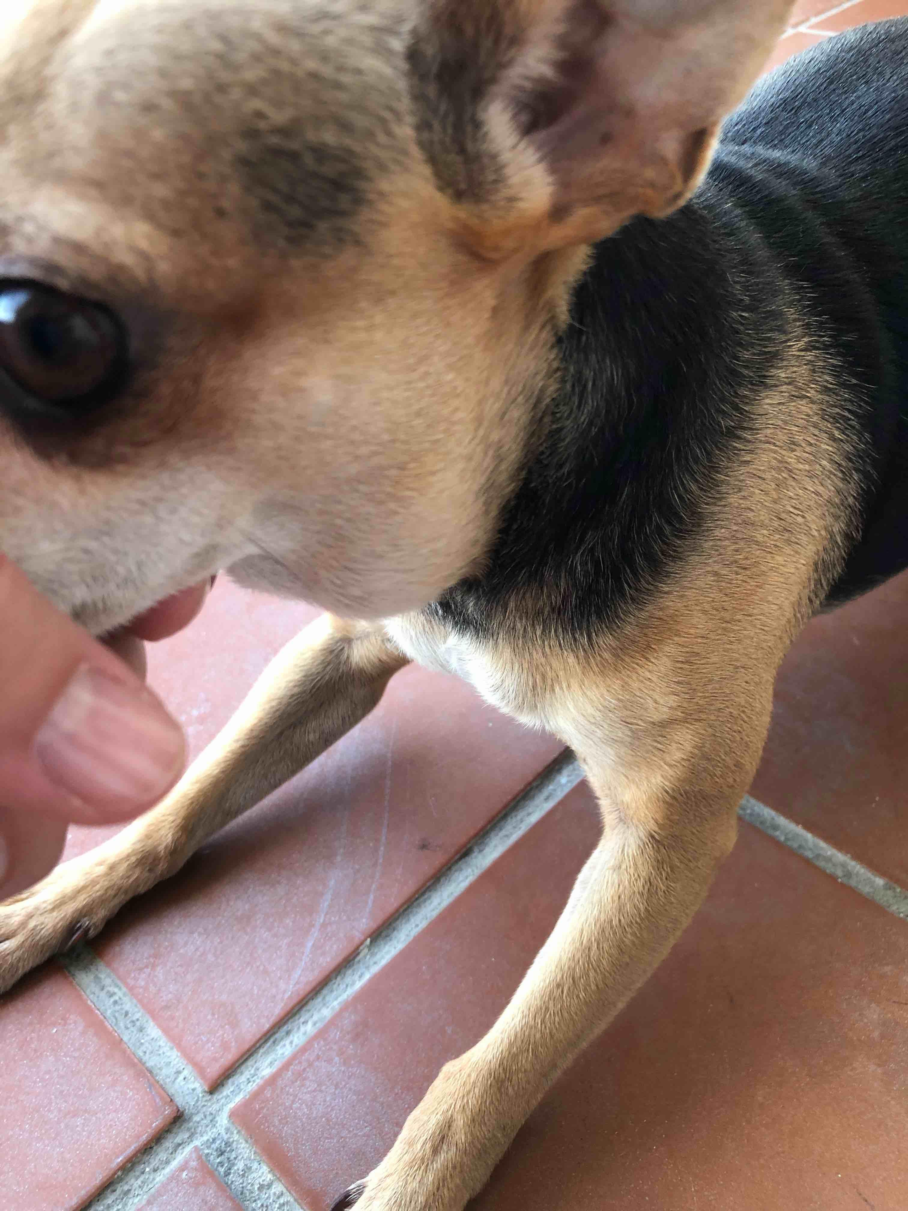 Question details sensitive content