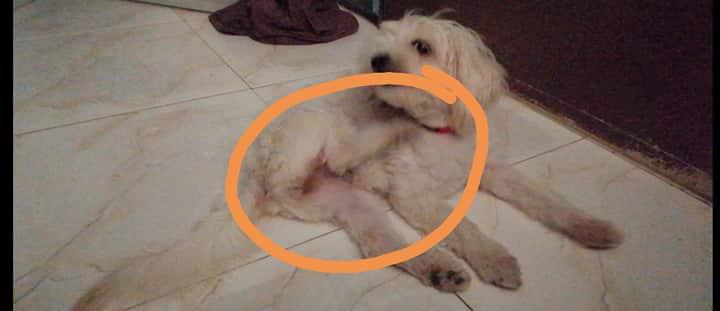 Question details sensitive content