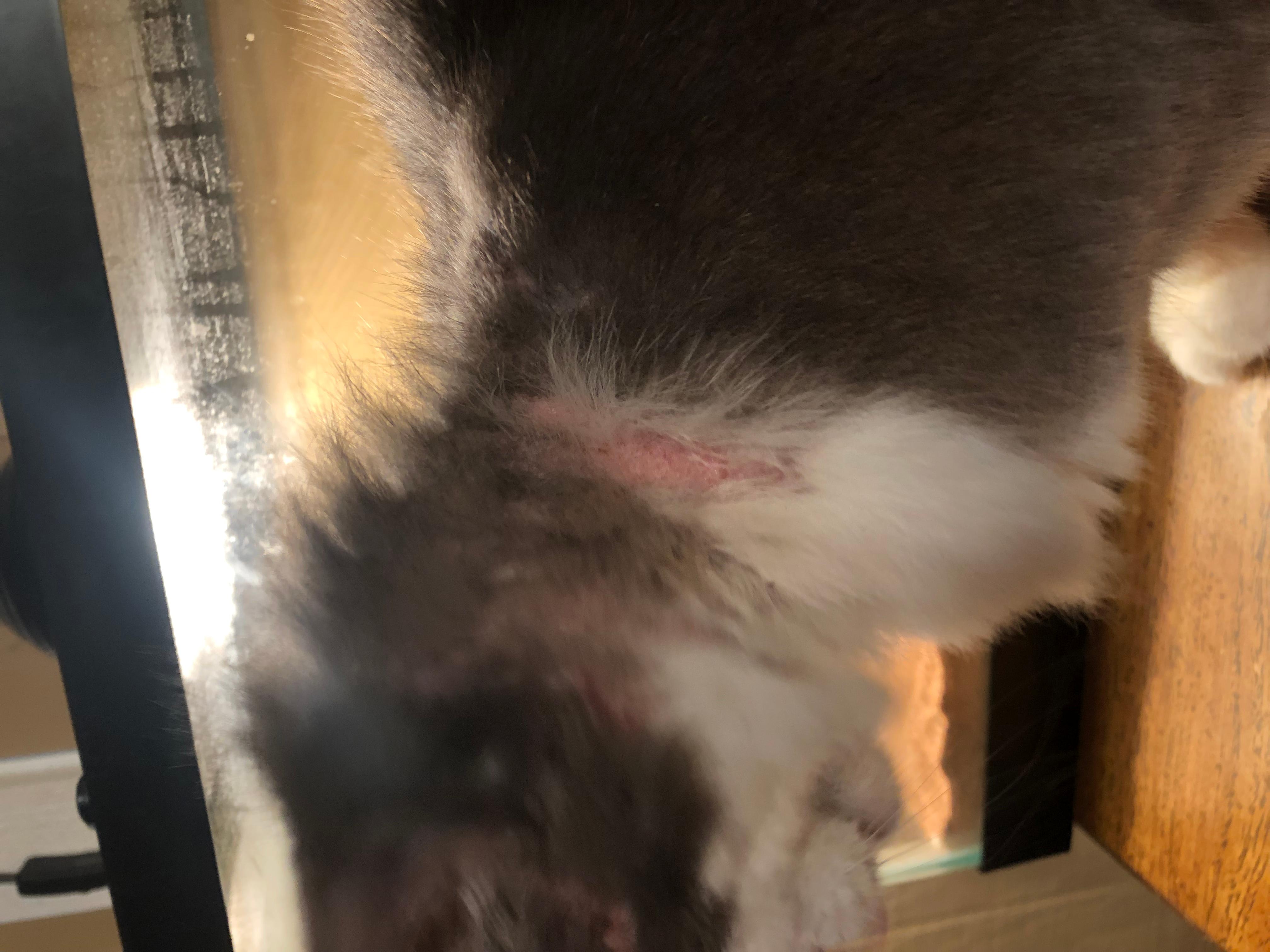 Question details sensitive content