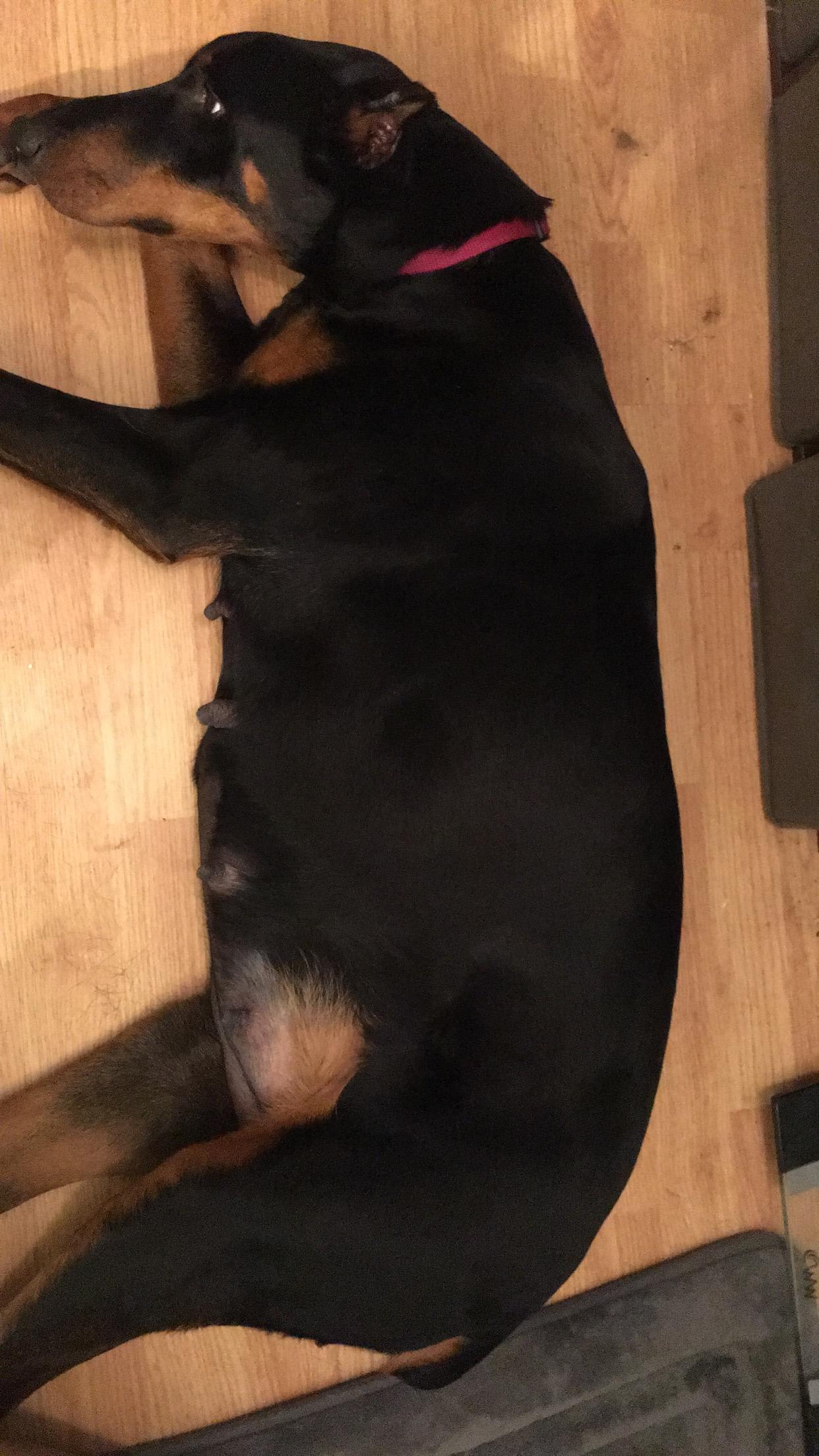 Question details sensitive content