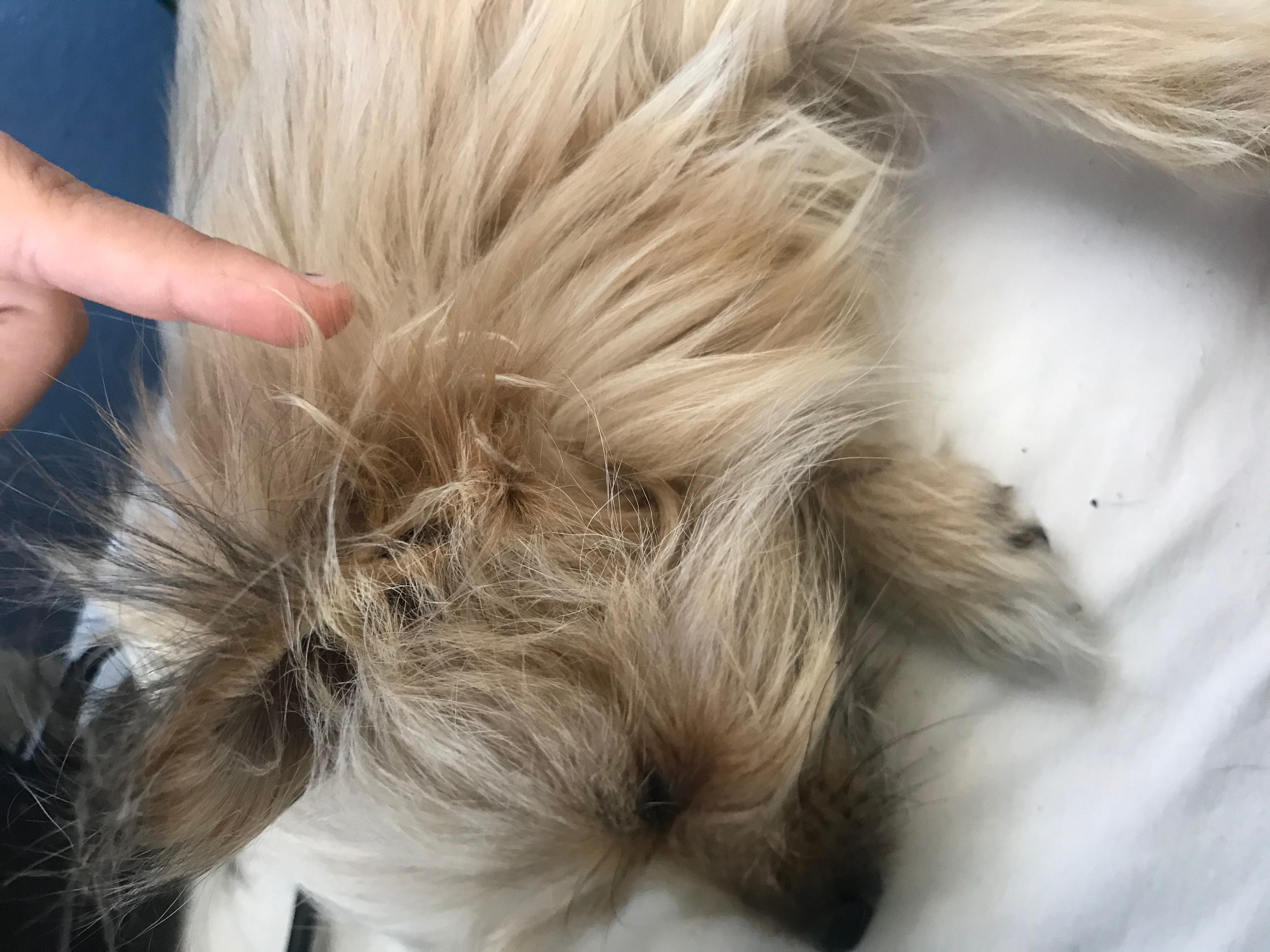 Question details sensitive content