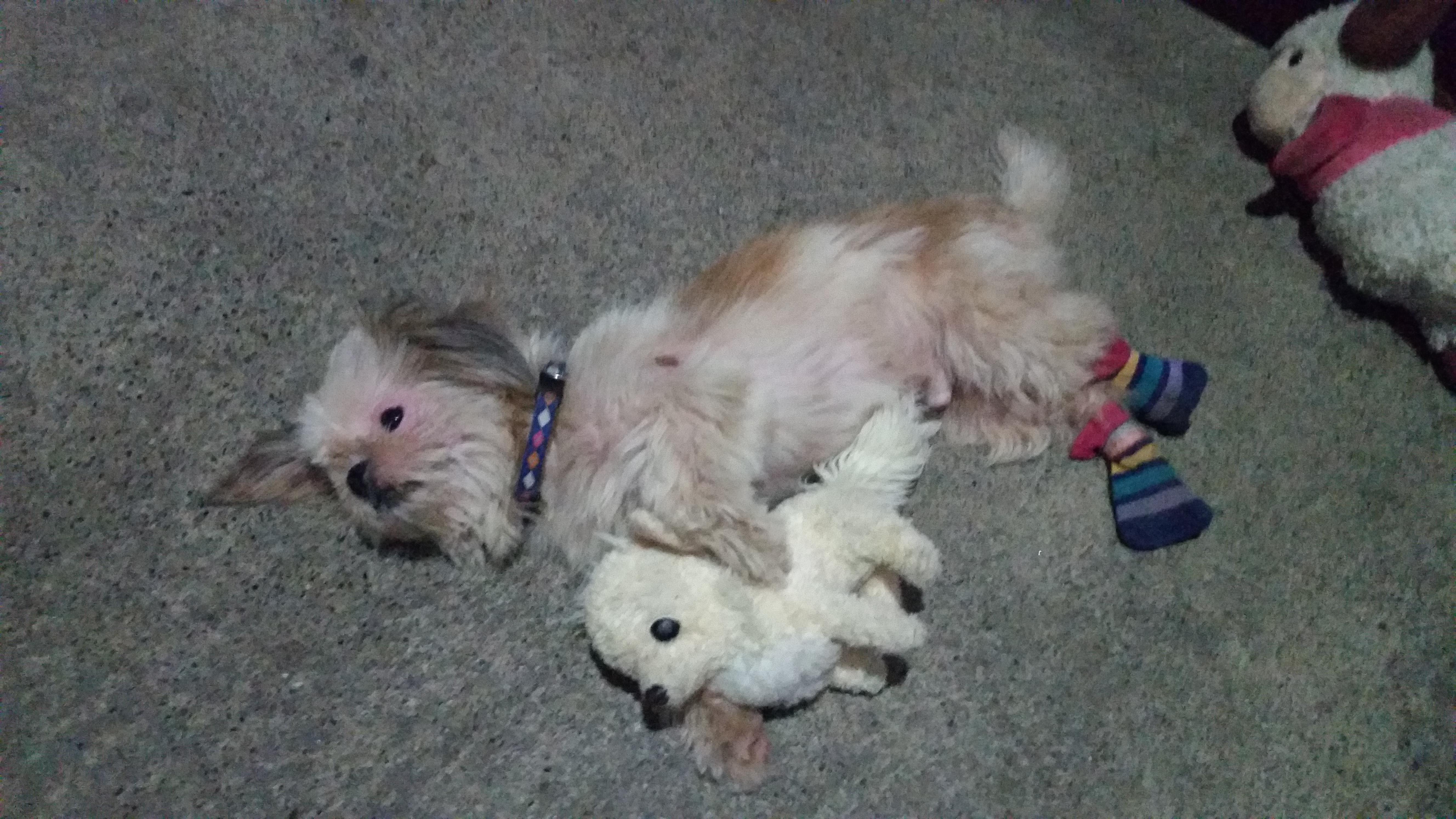 Question details sensitive content