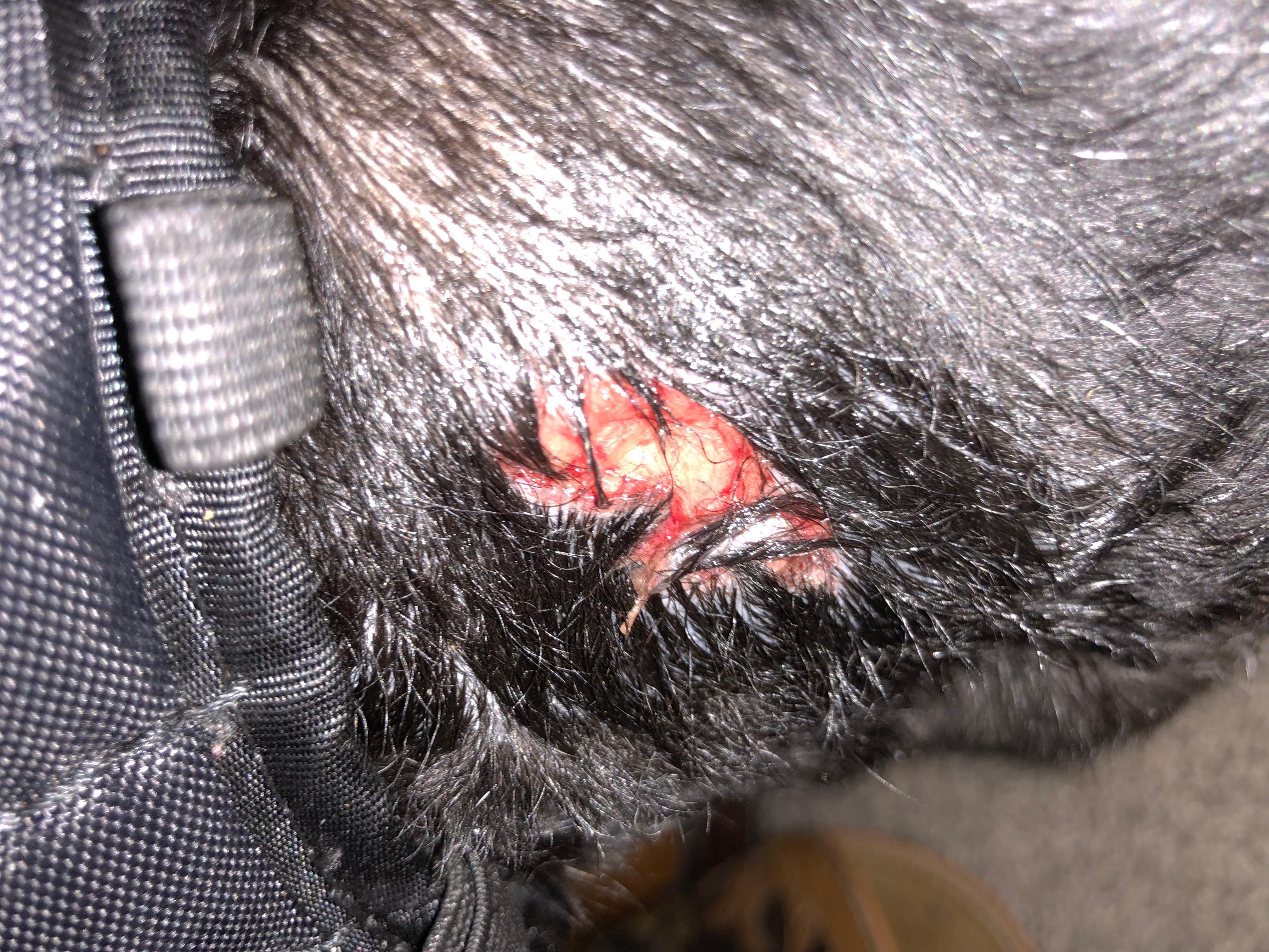 Question details sensitive content