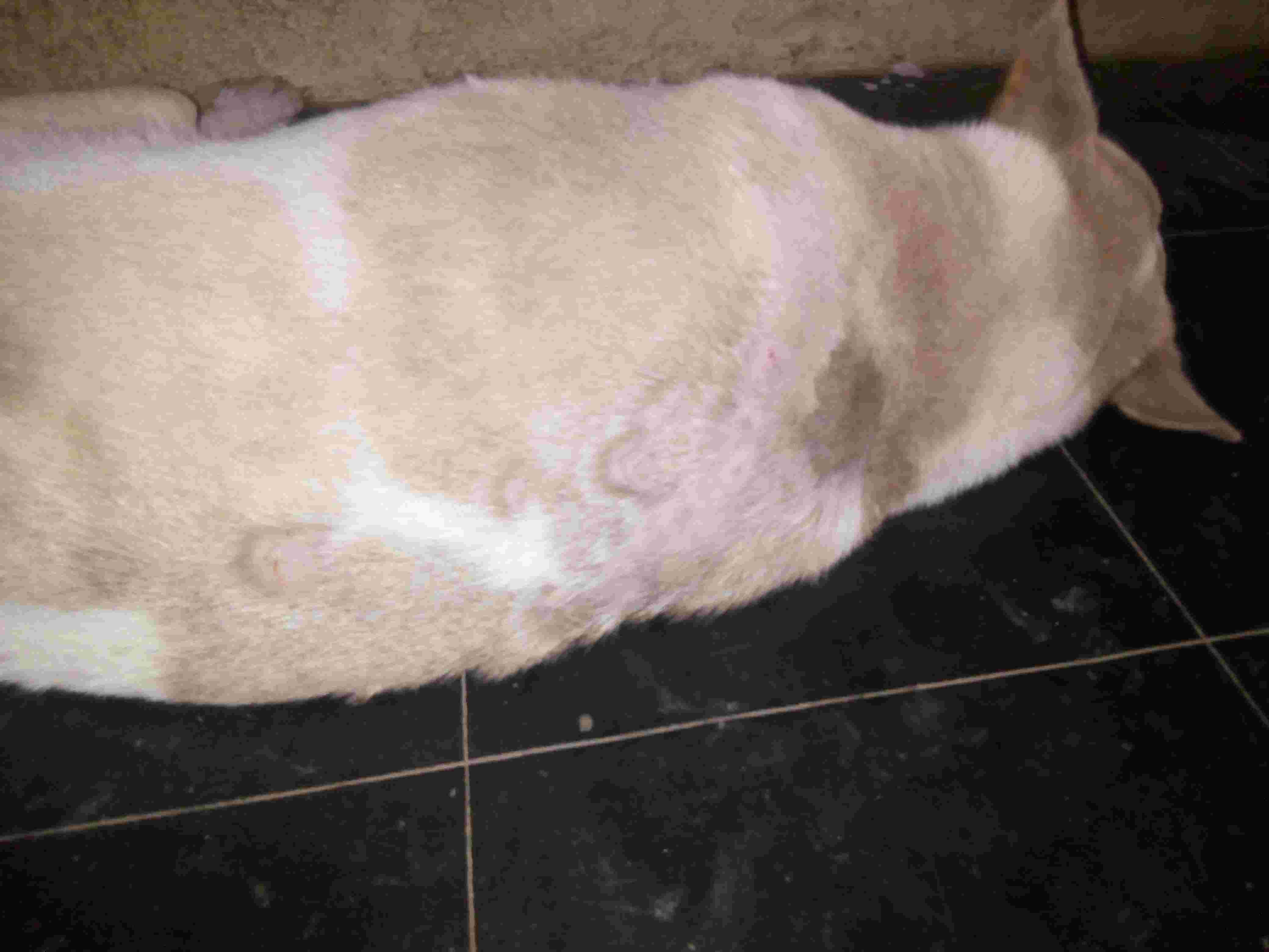 Question details sensitive content