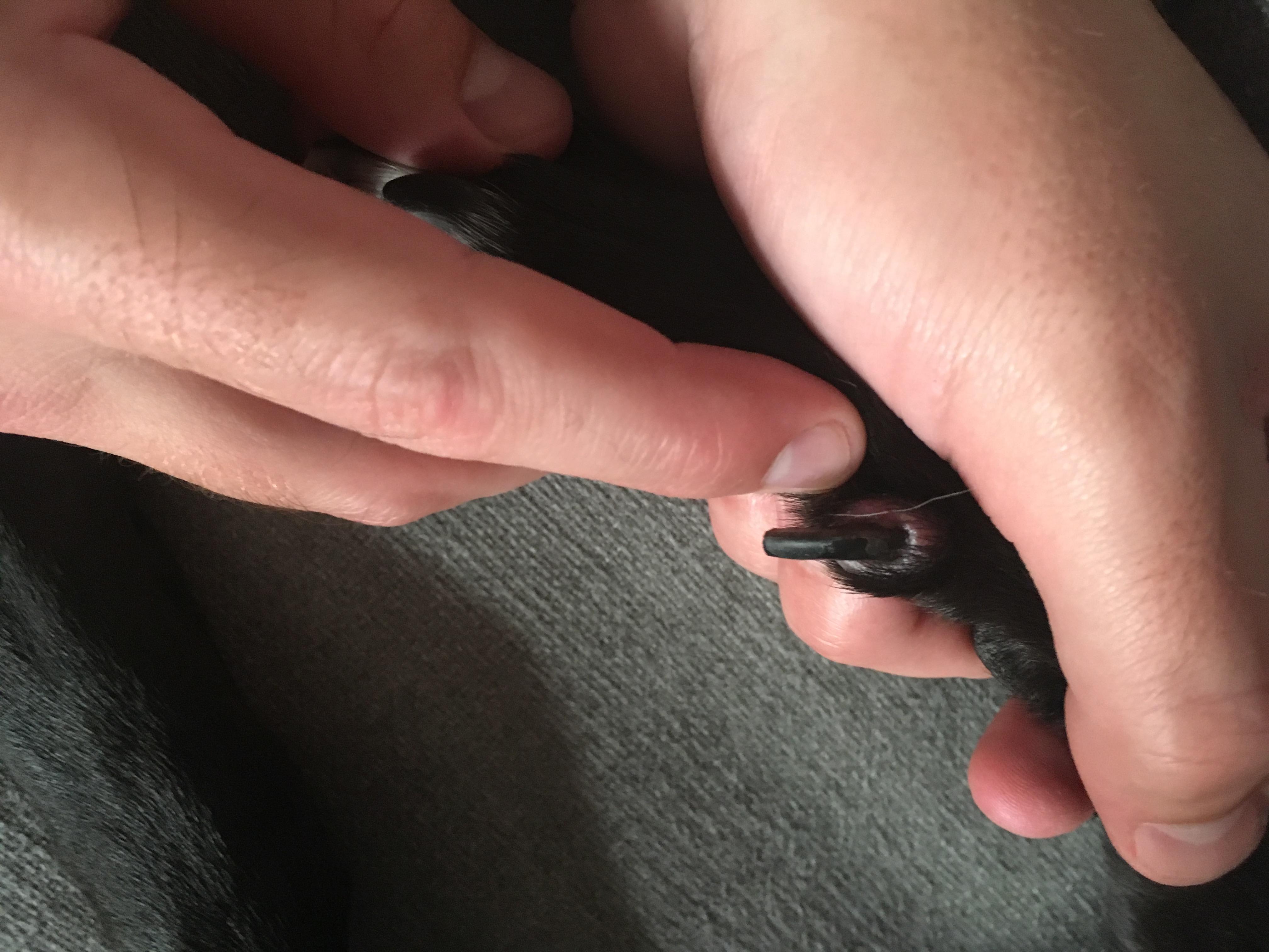 Question details sensitive content