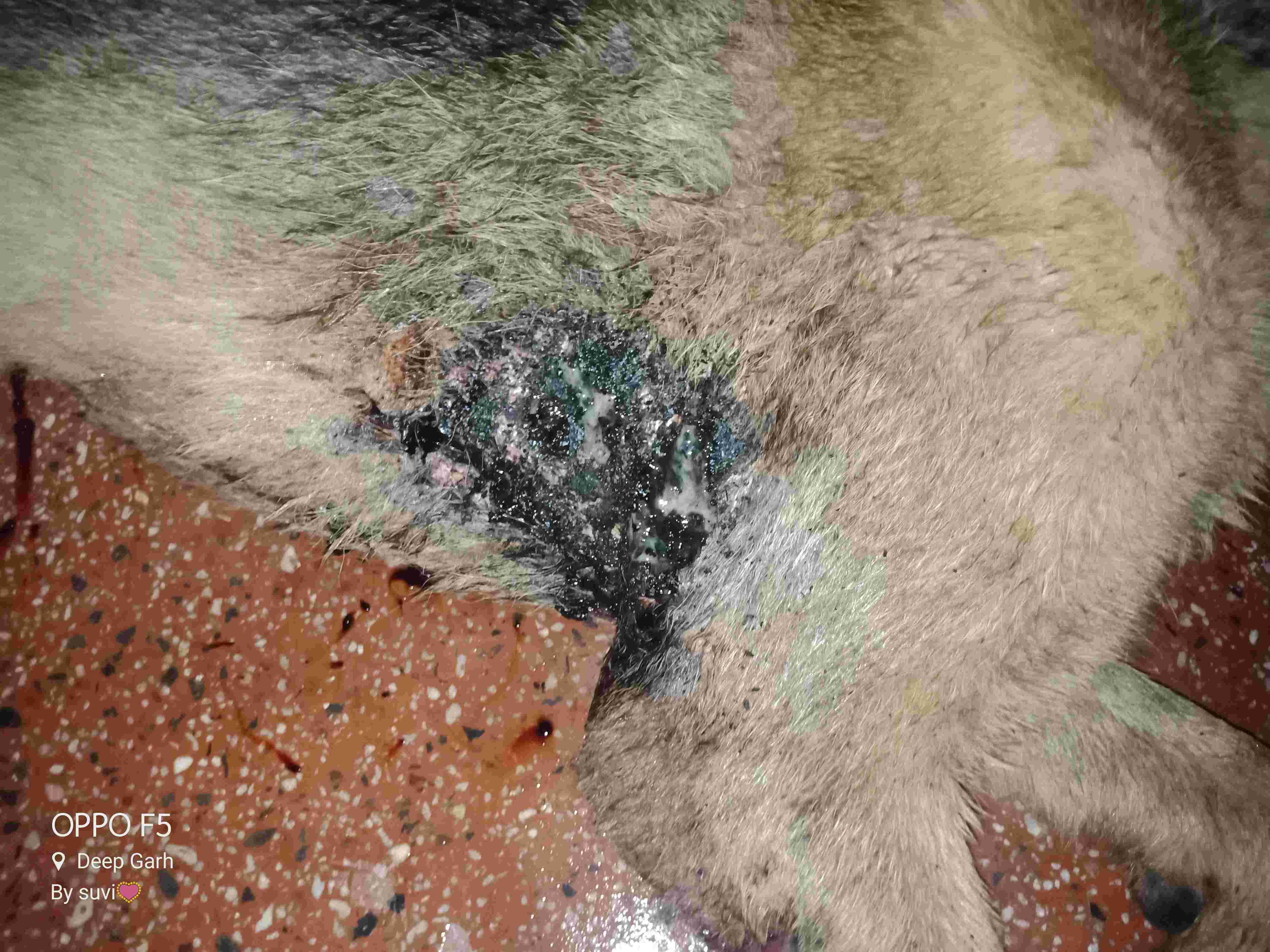 Question details sensitive content