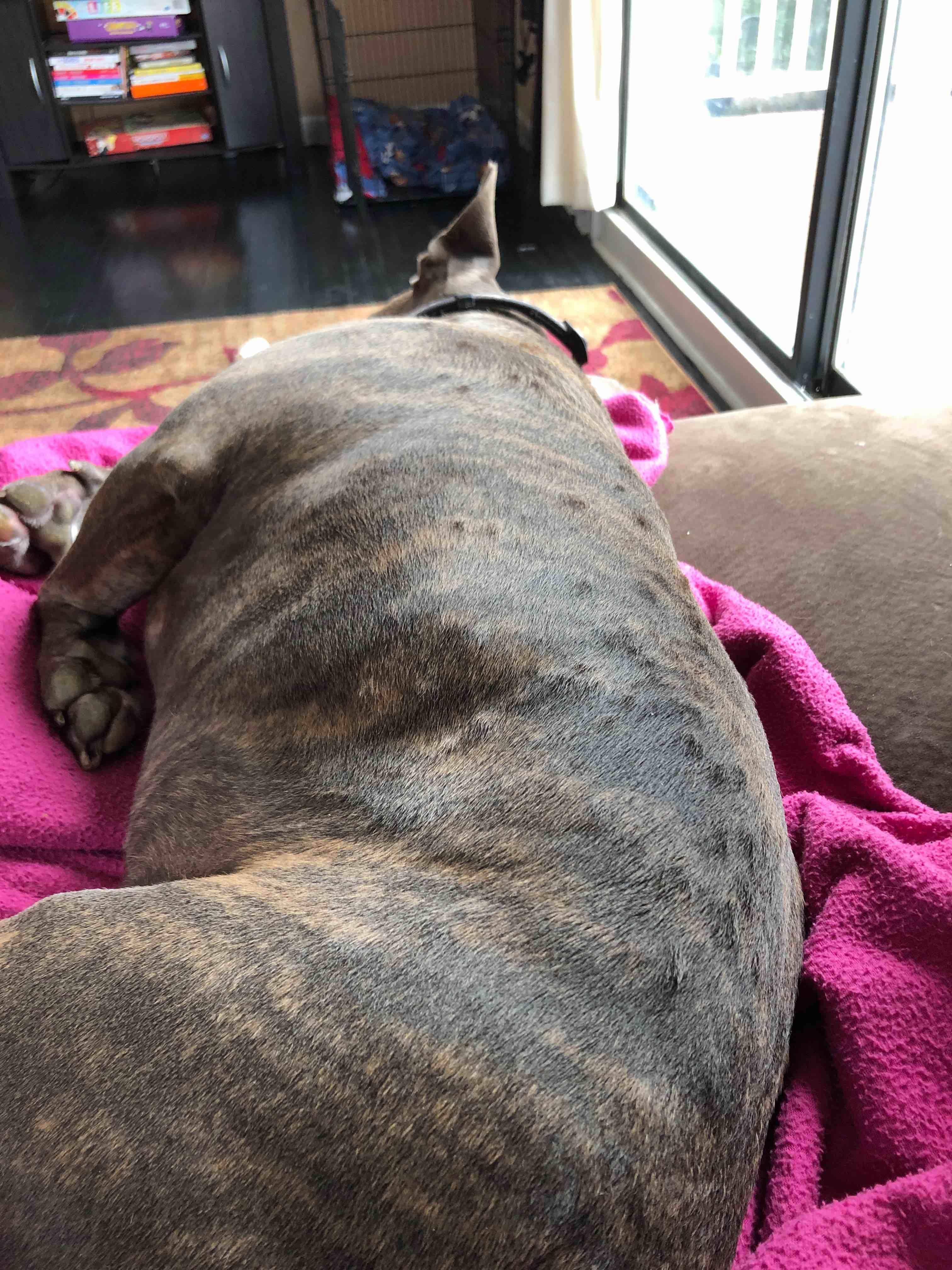 Question details sensitive content