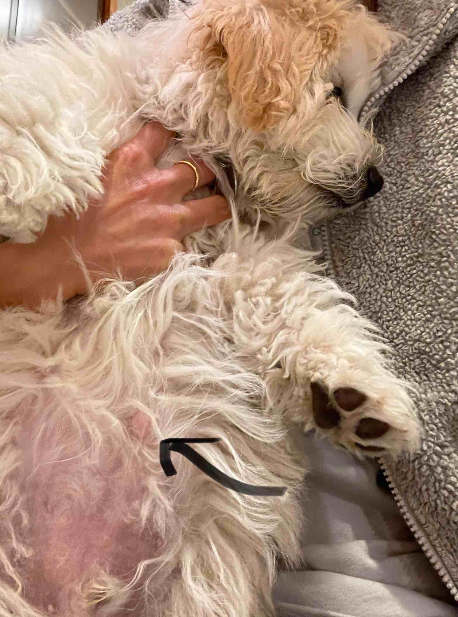 Question details sensitive content