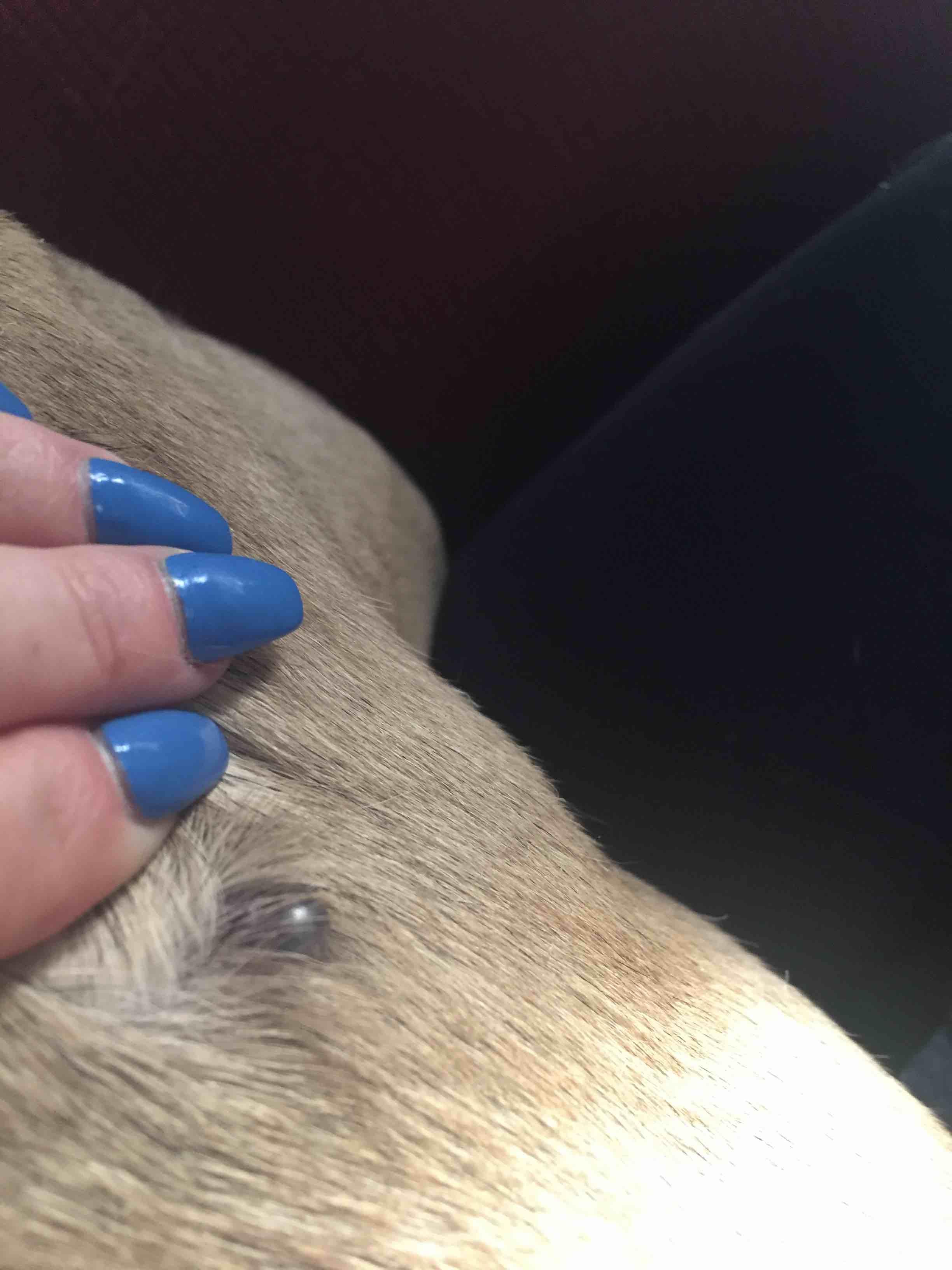 Question details sensitive content