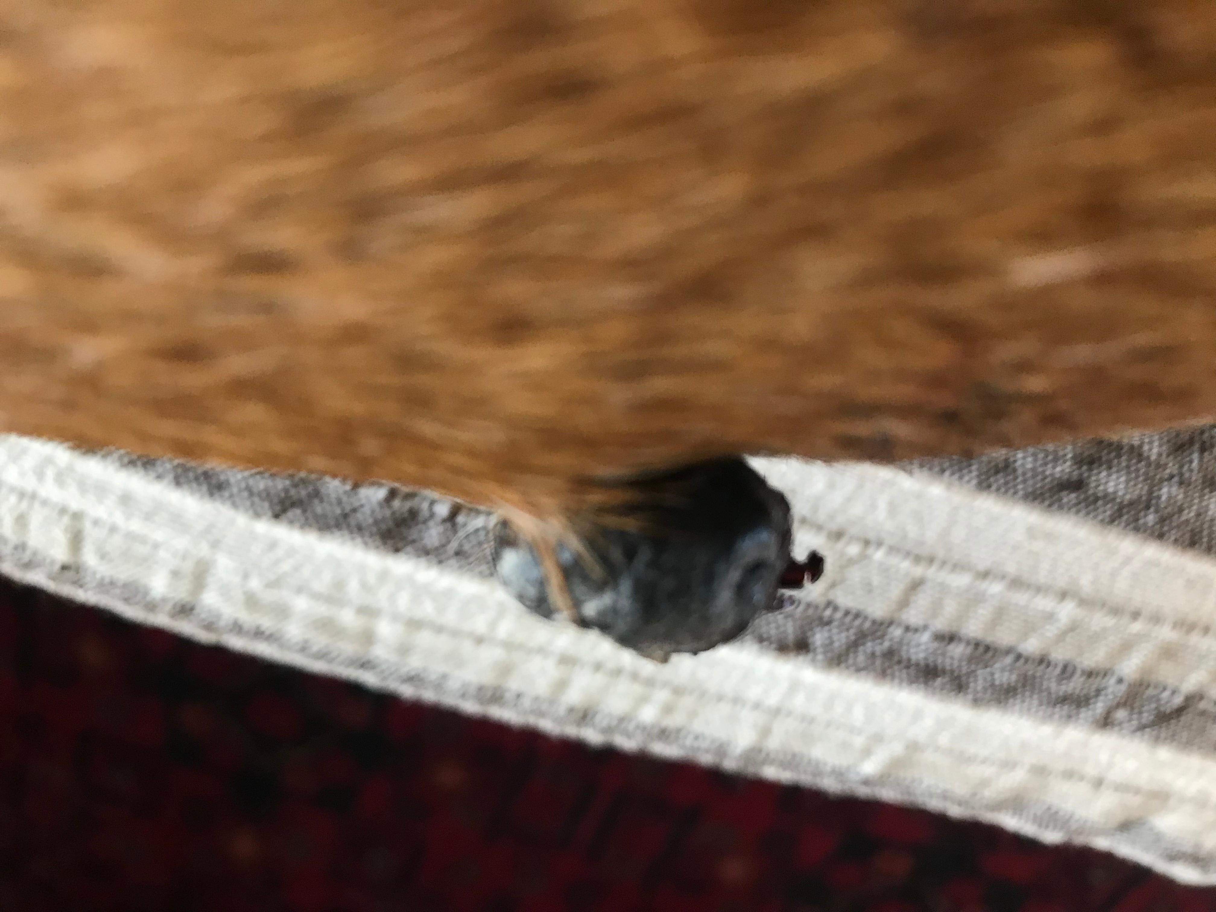 Question details sensitive content