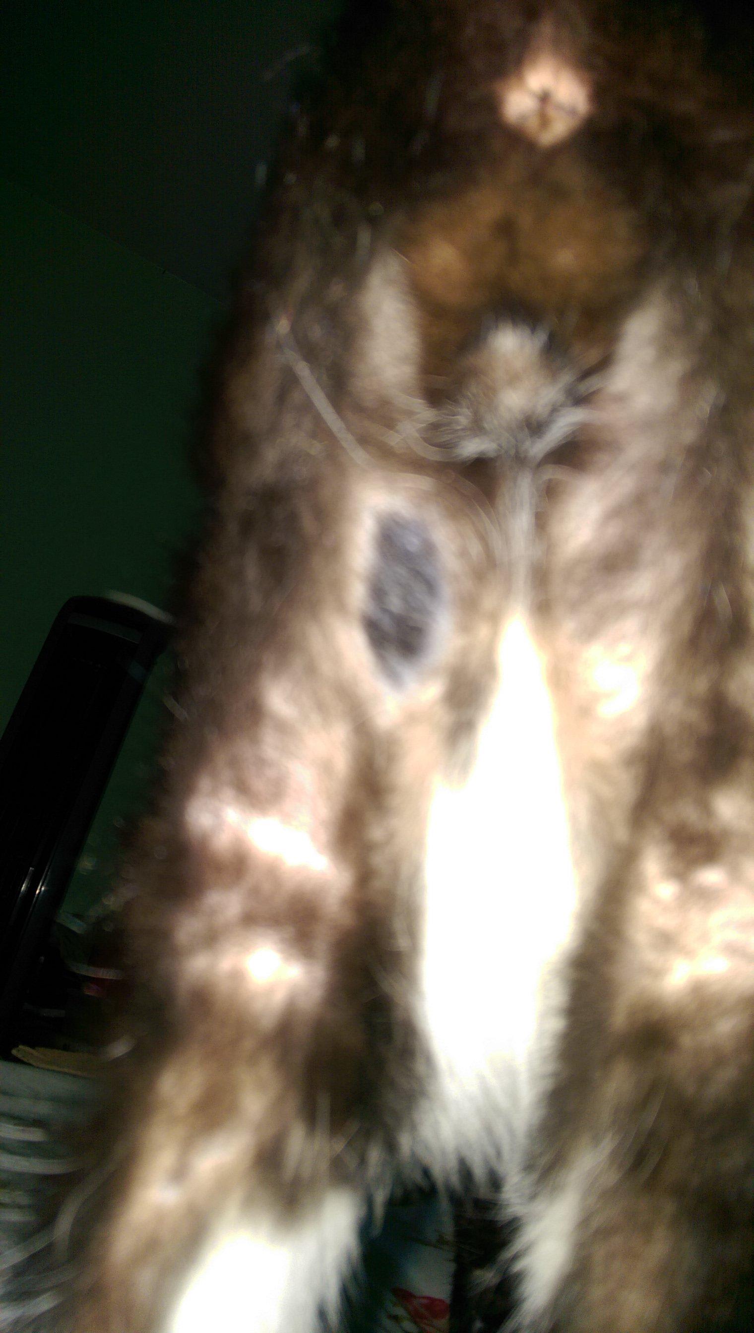 Question details sensitive content