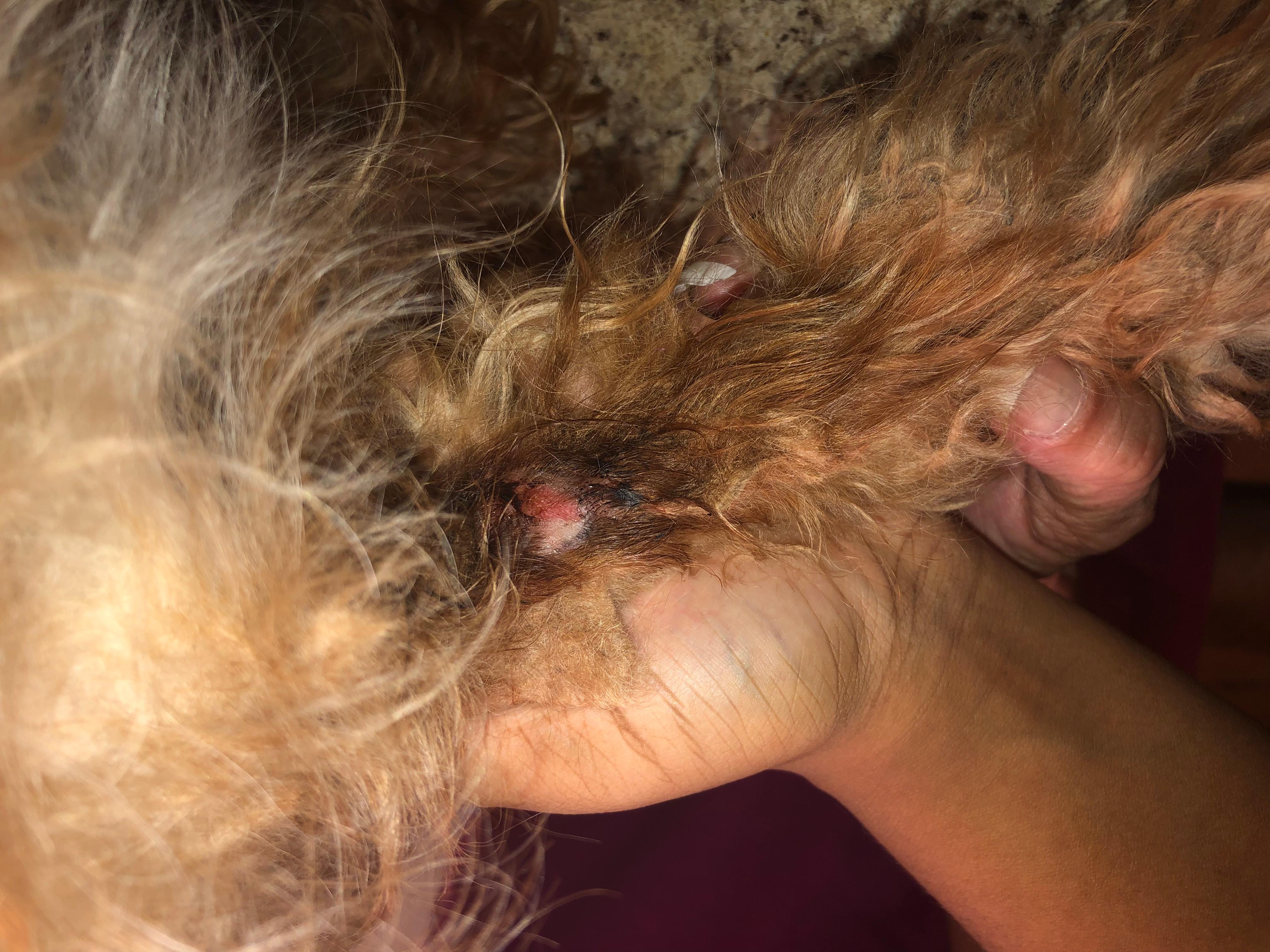 Question details sensitive content