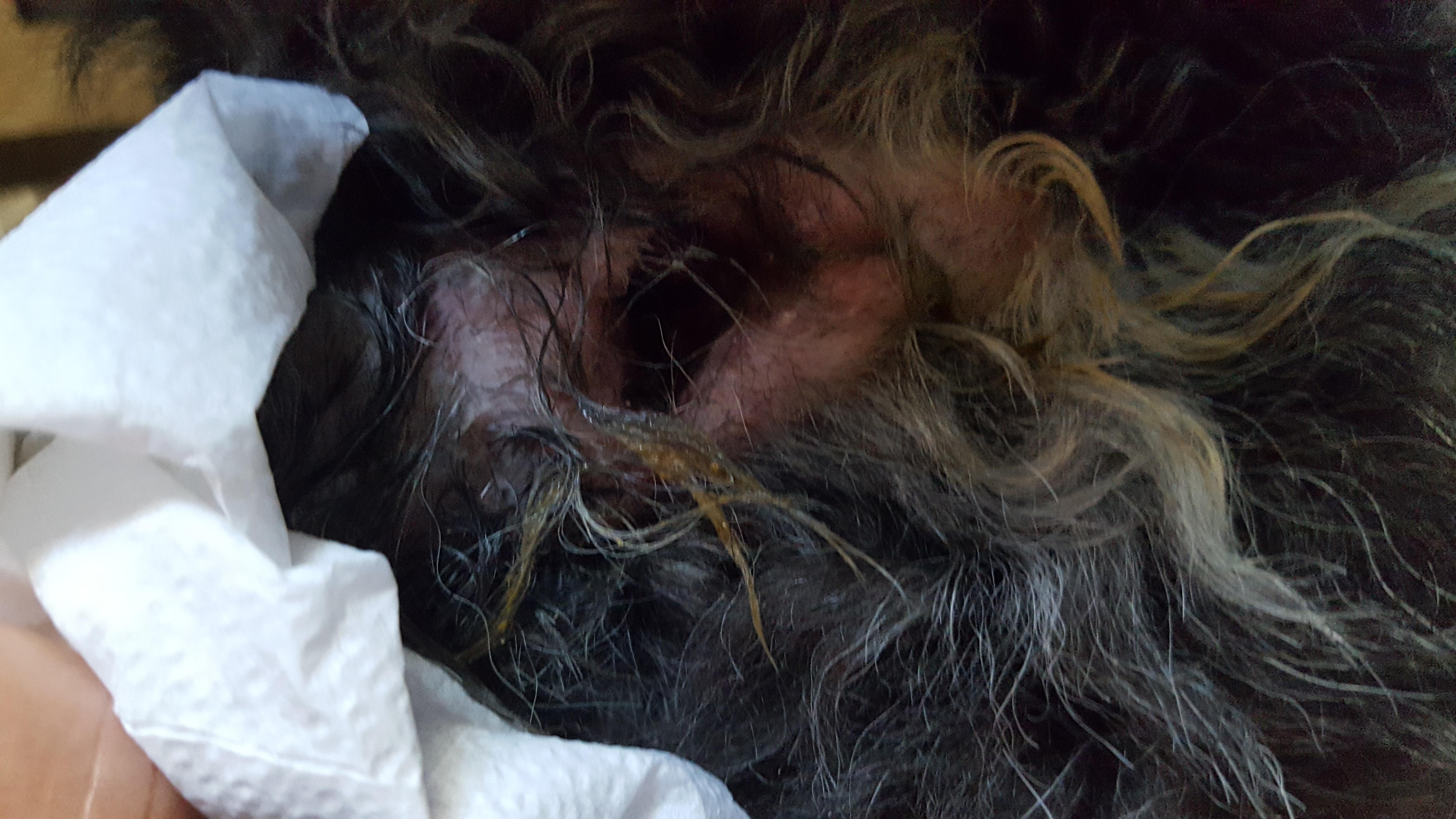 Question details sensitive content