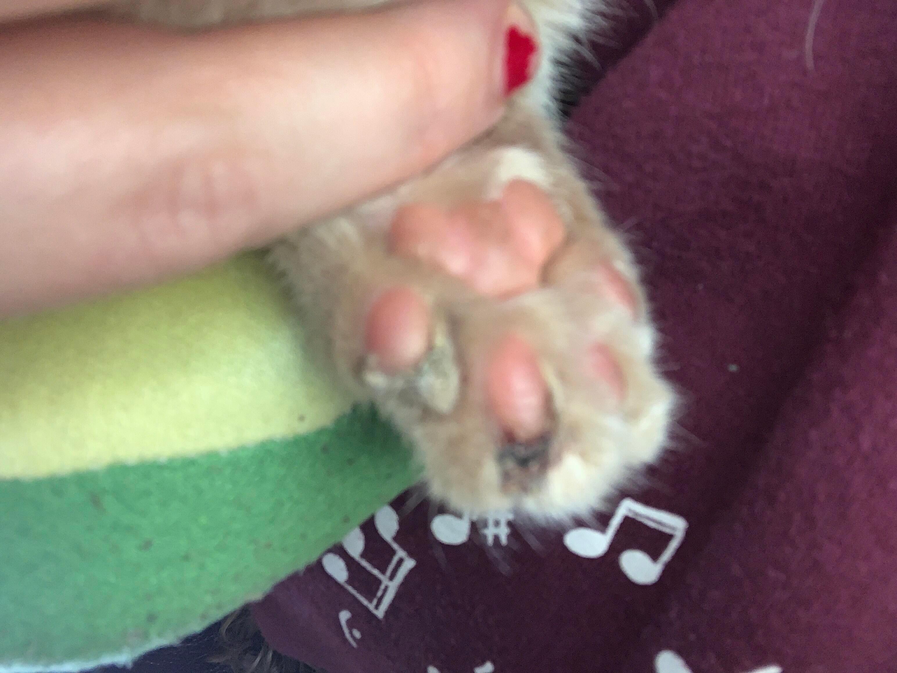 Question details sensitive content