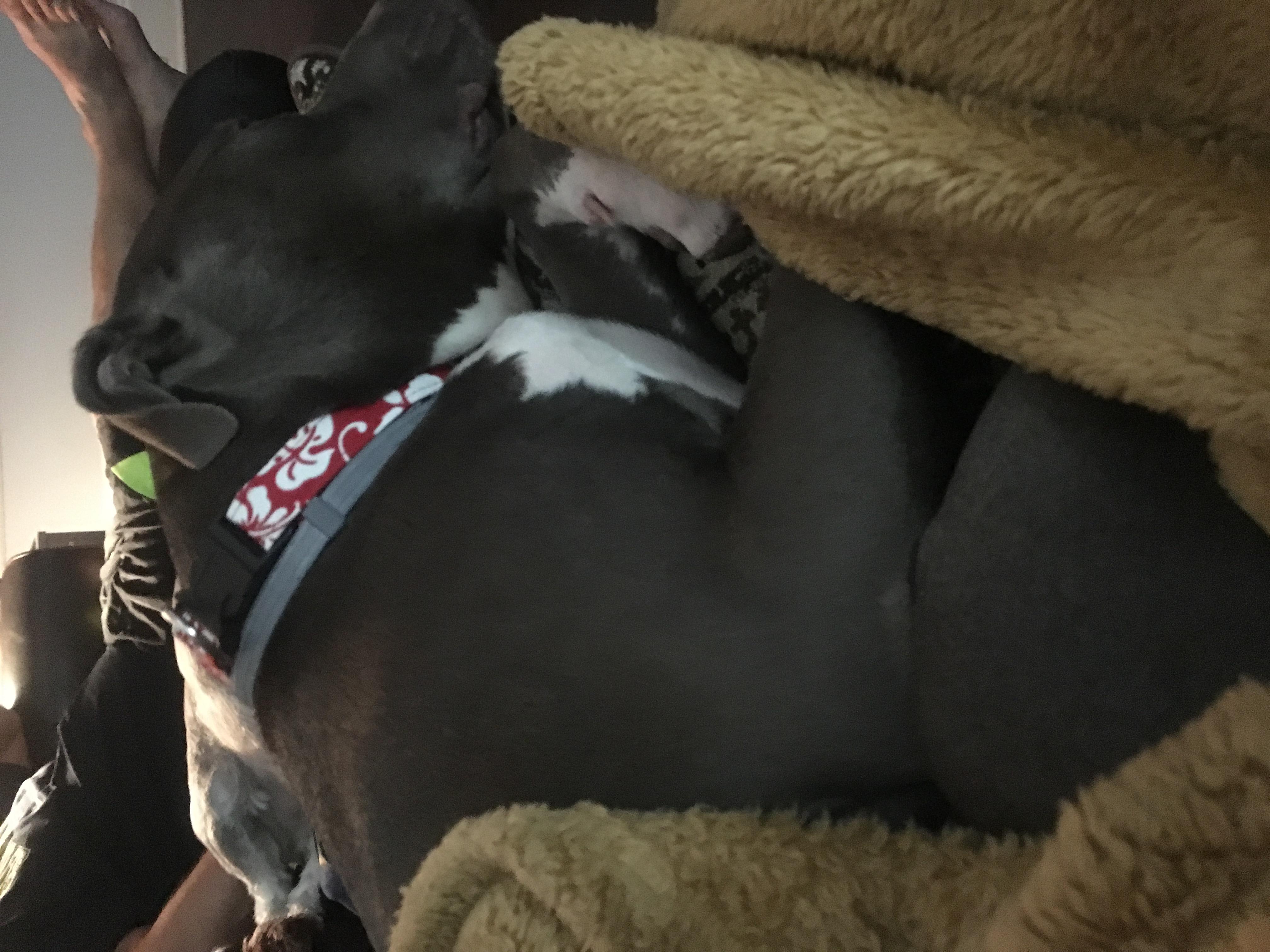 Question details sensitive content