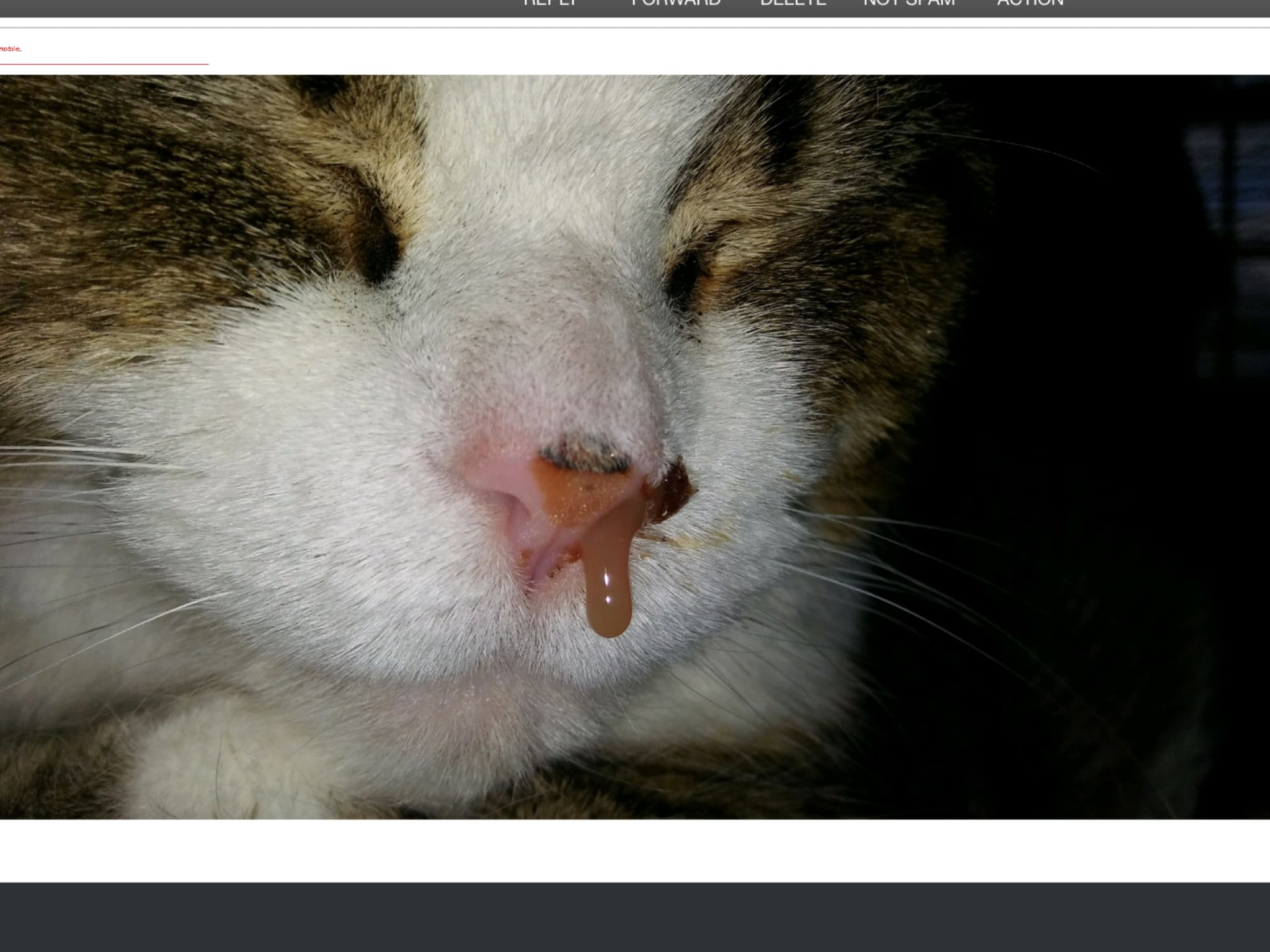 Question details sensitive content