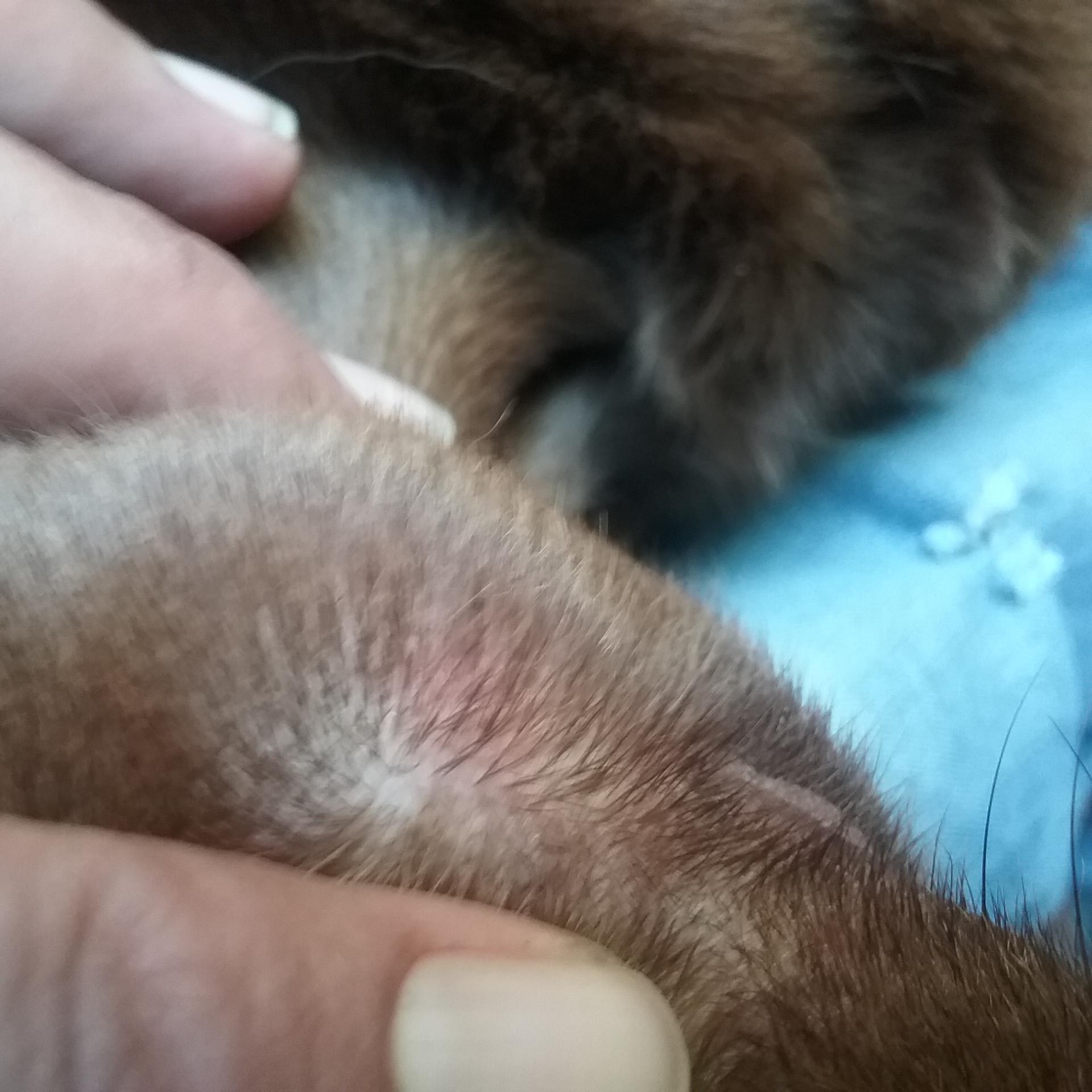 Question details sensitive content