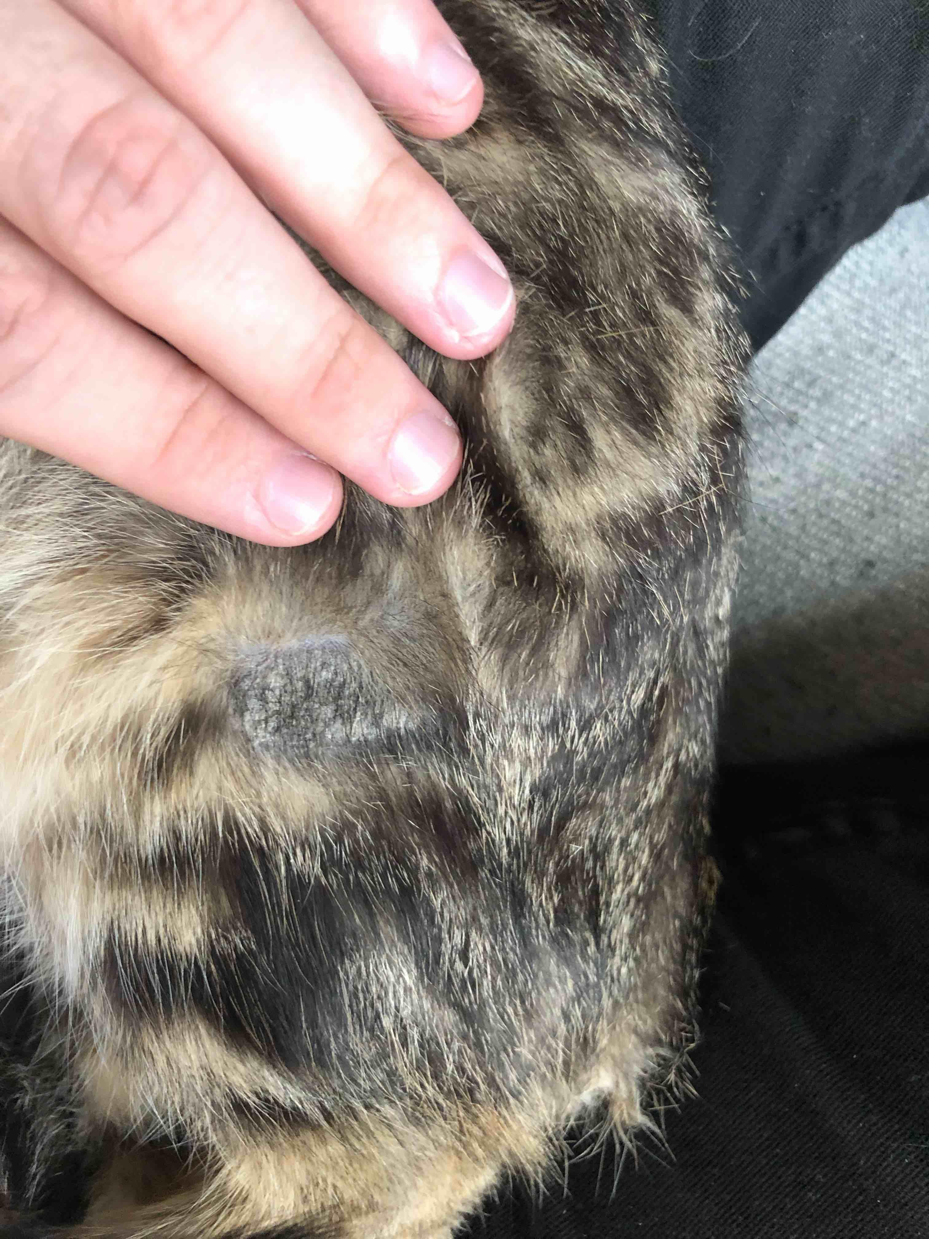 Question details sensitive content