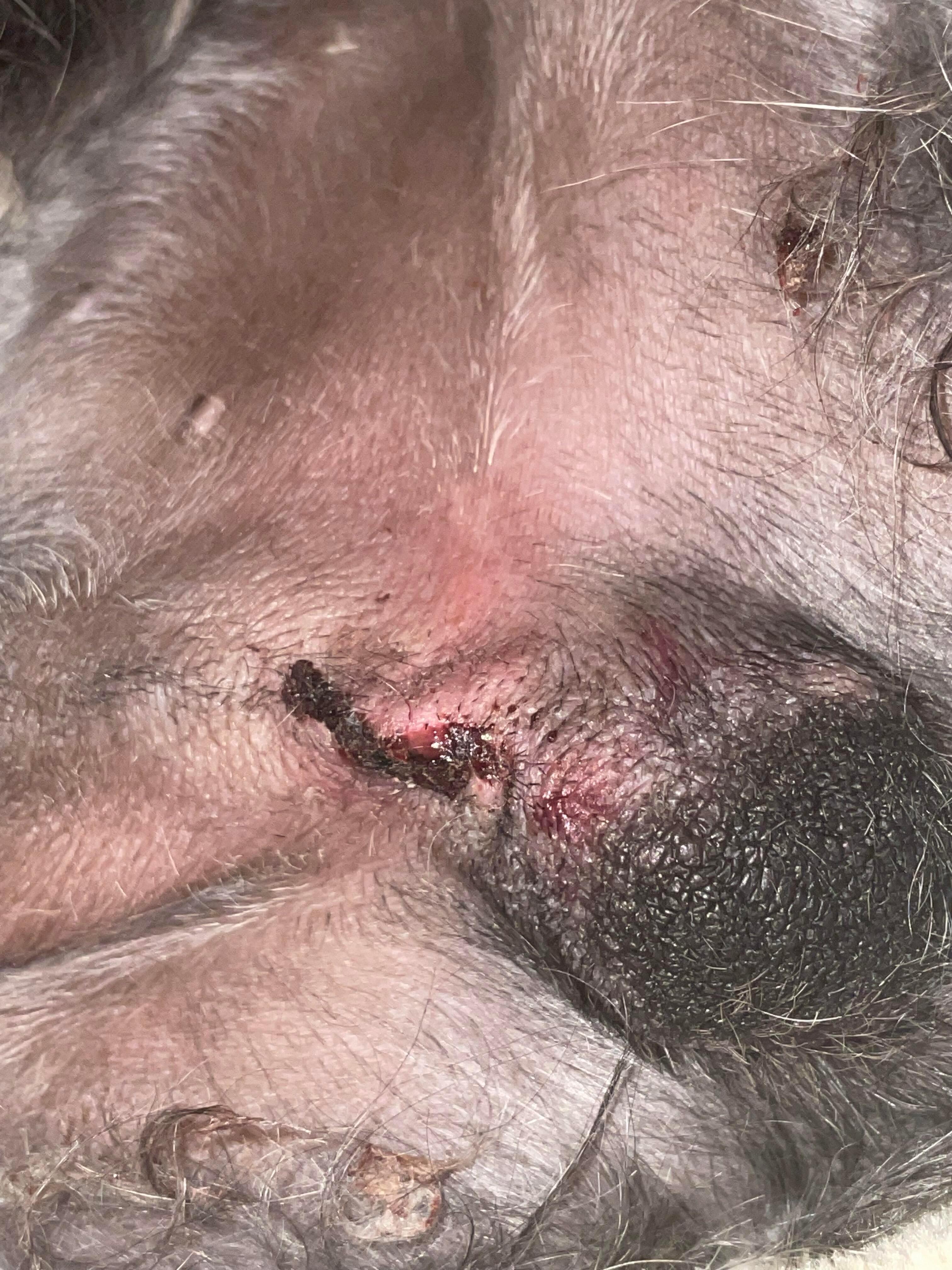 Question details sensitive content