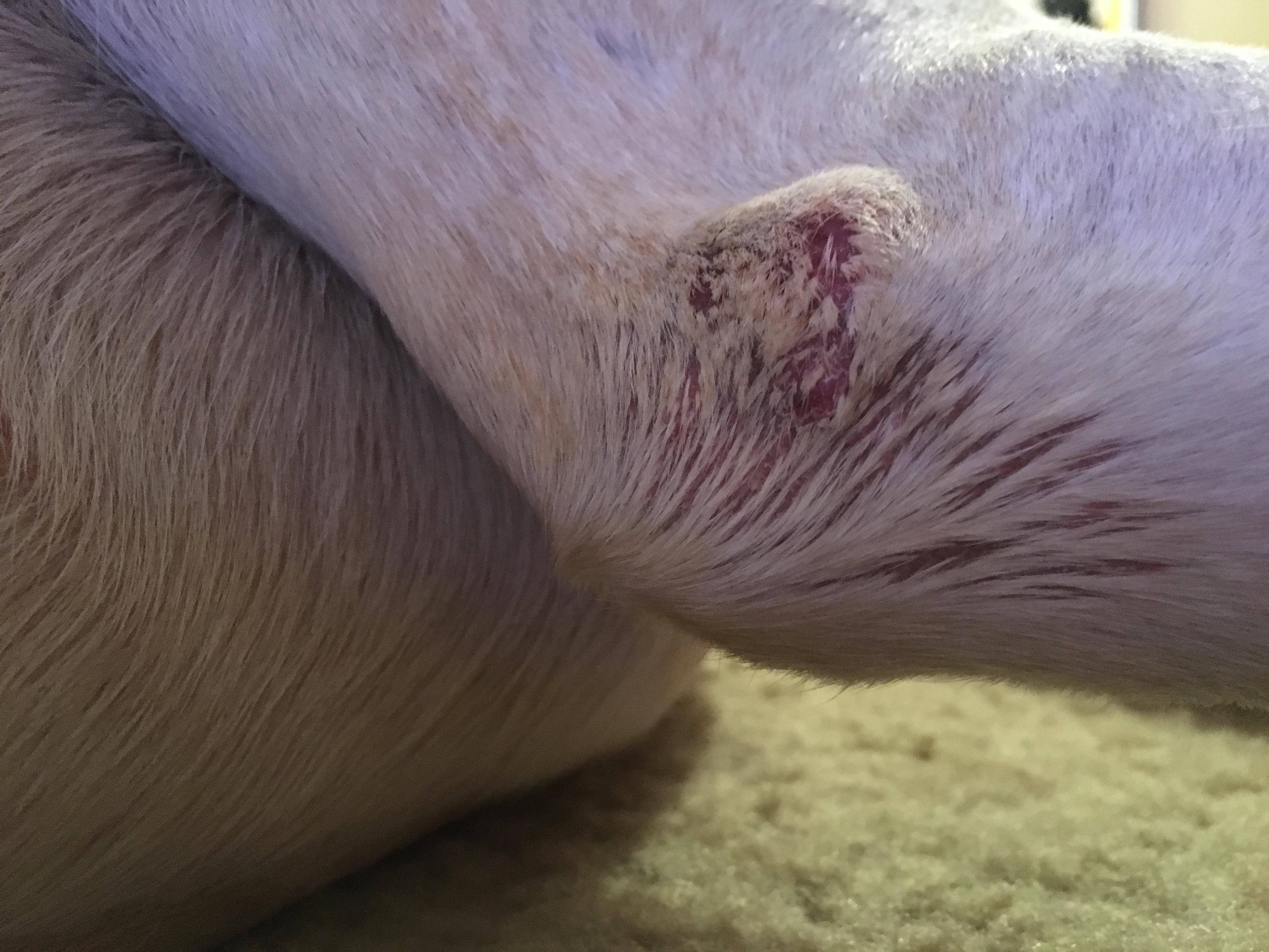 Question details sensitive content