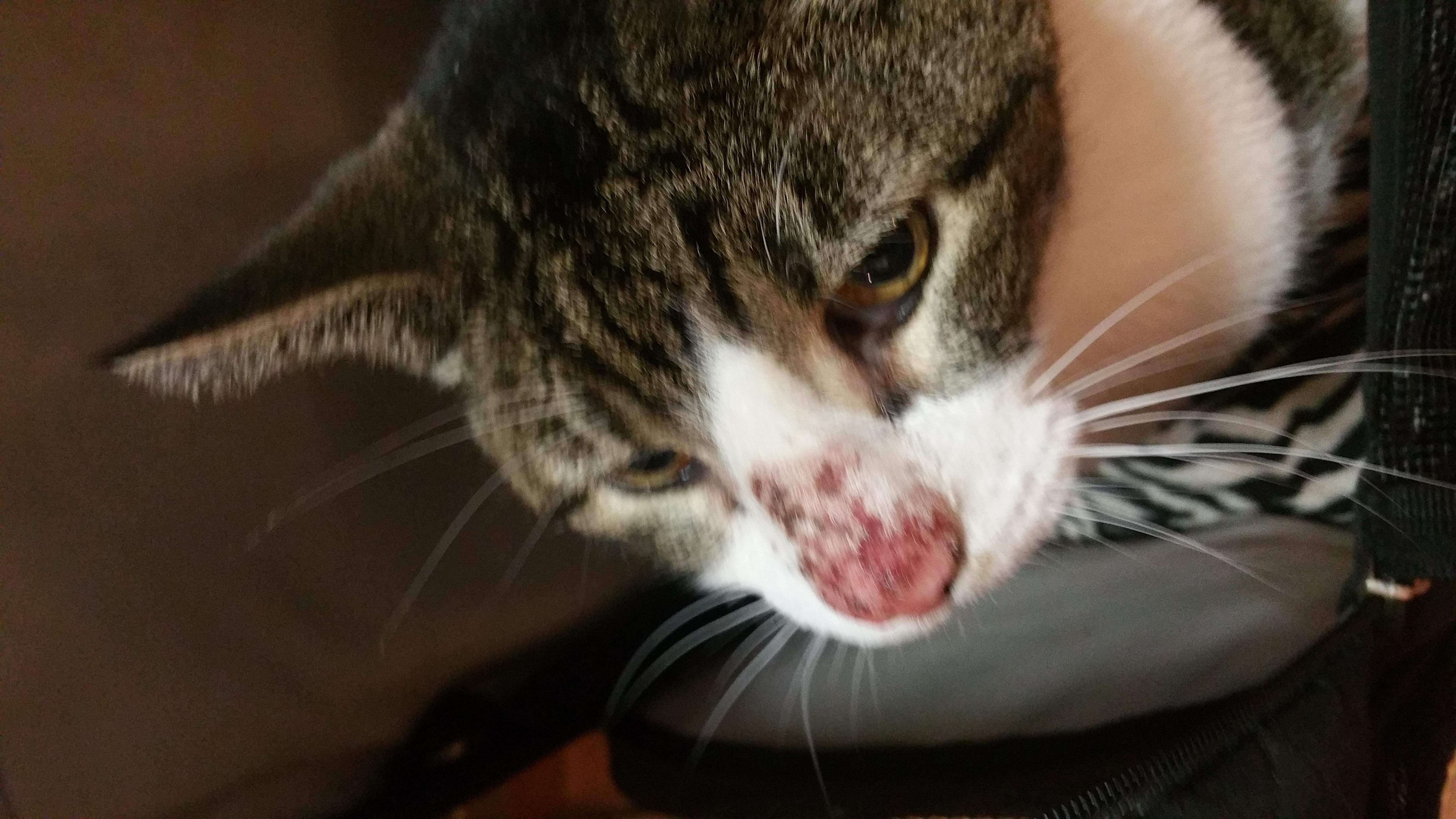 Question details sensitive content