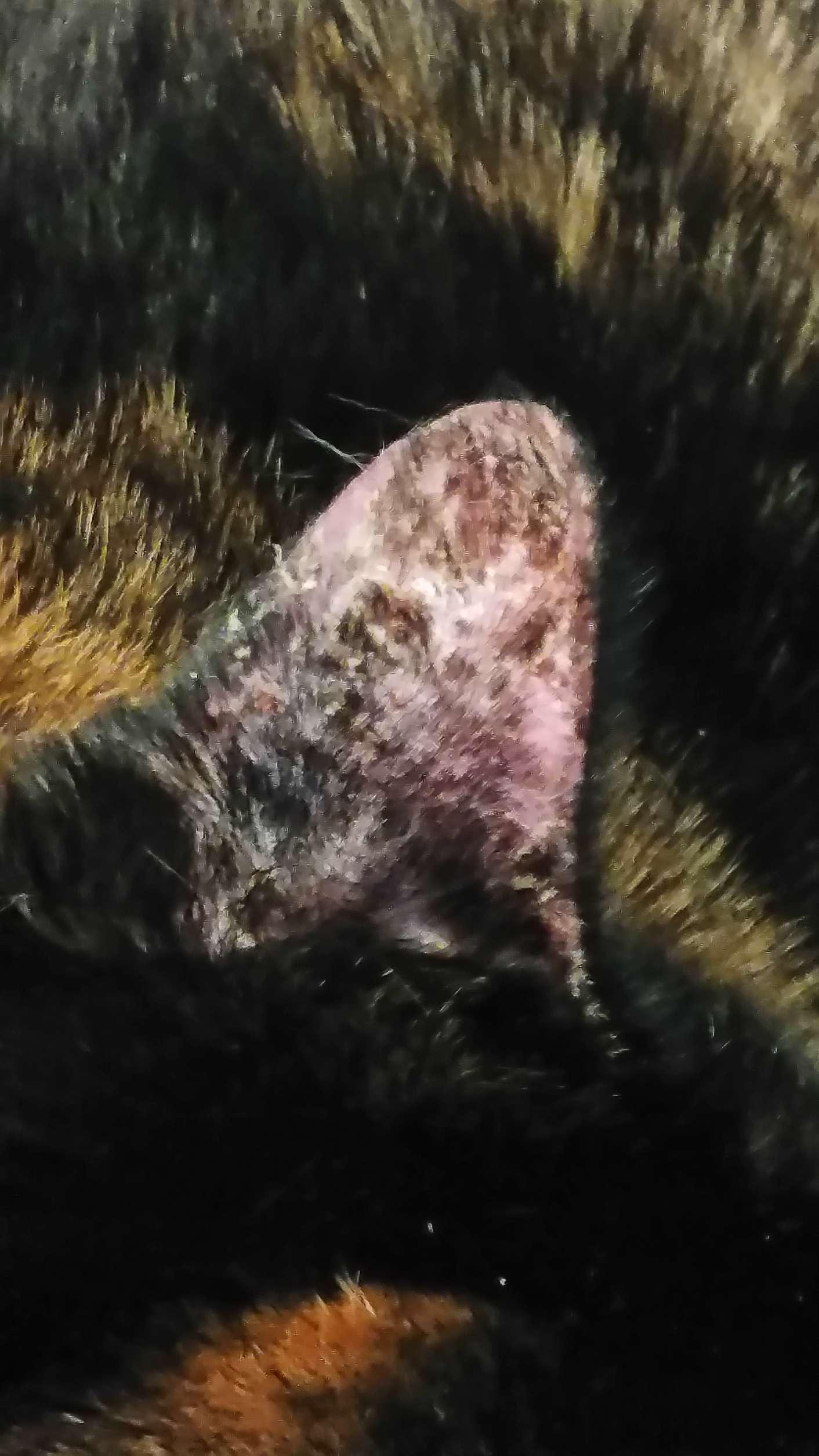 Question details sensitive content