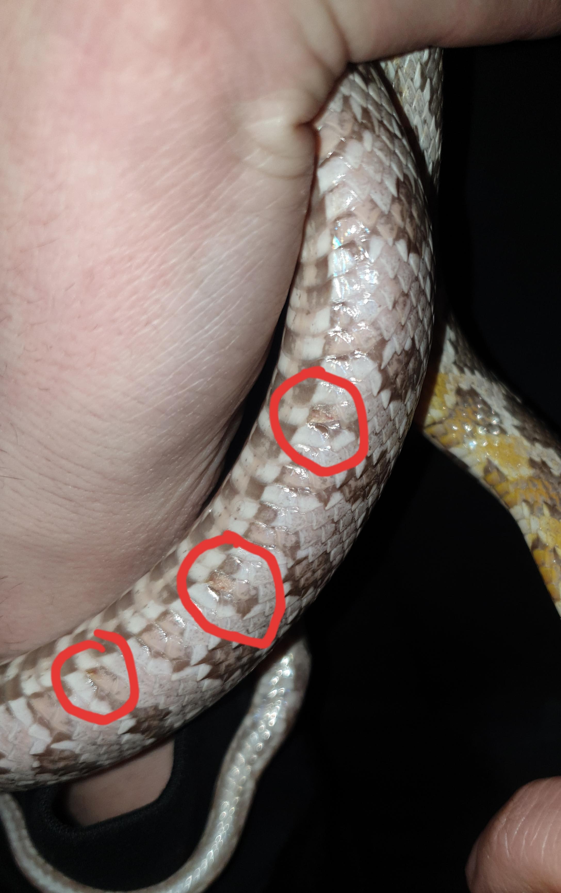 Question details sensitive content