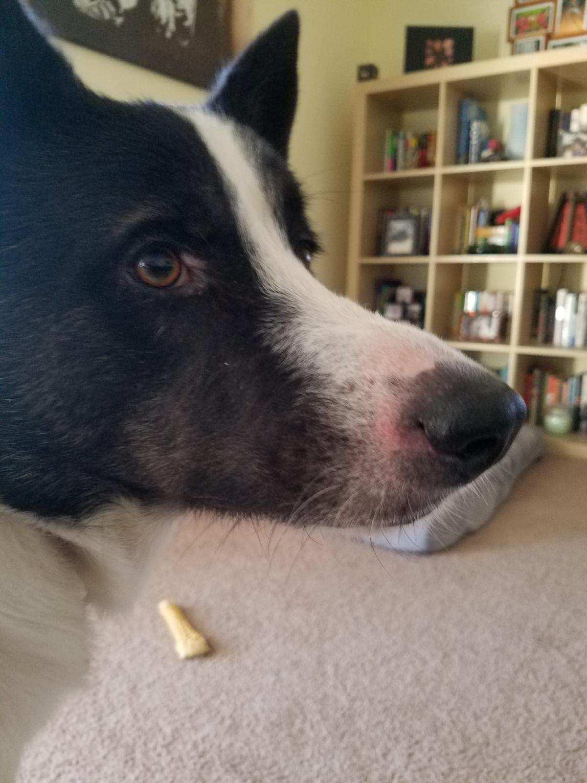 Question details sensitive content