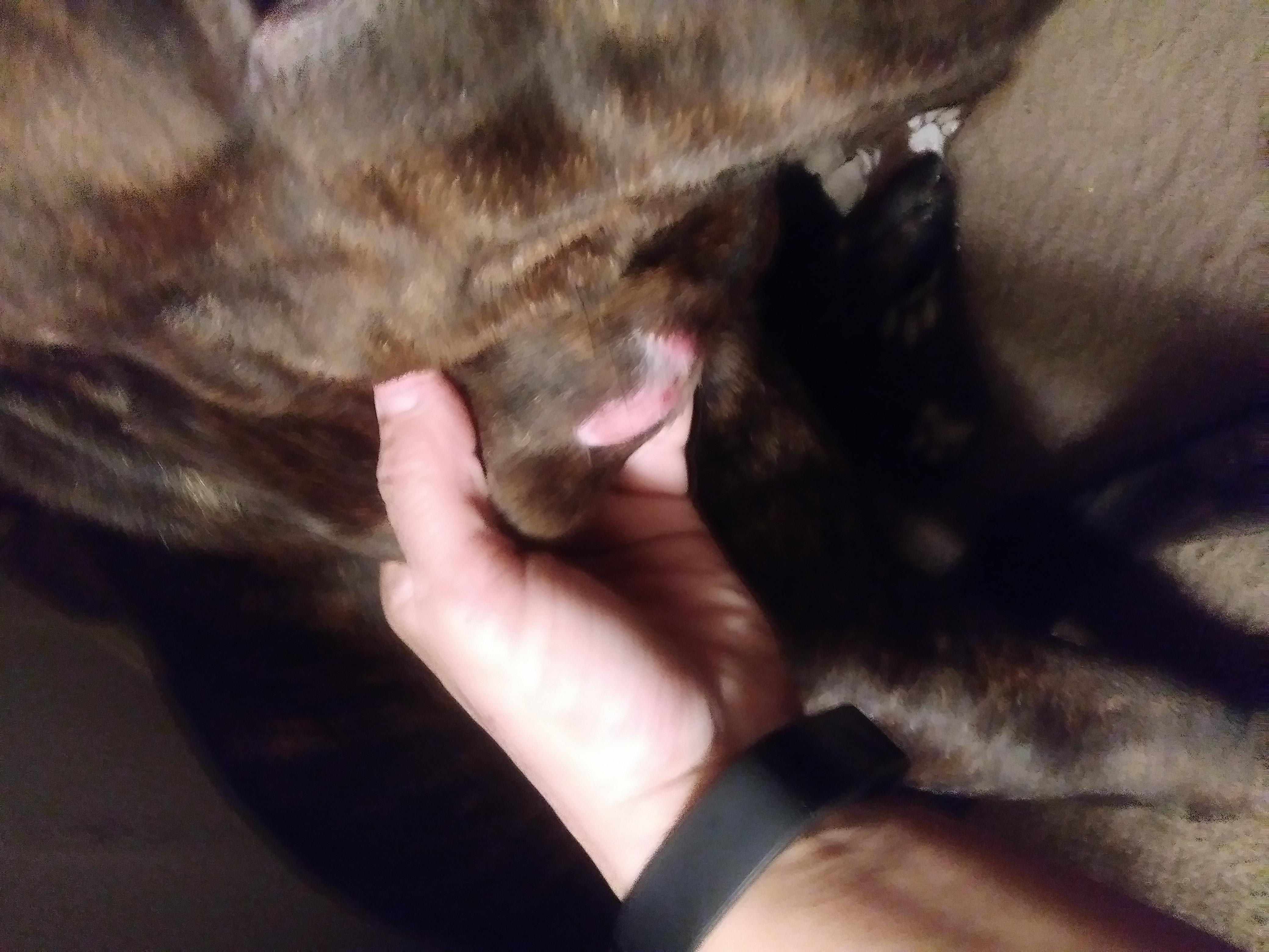 Question details sensitive content