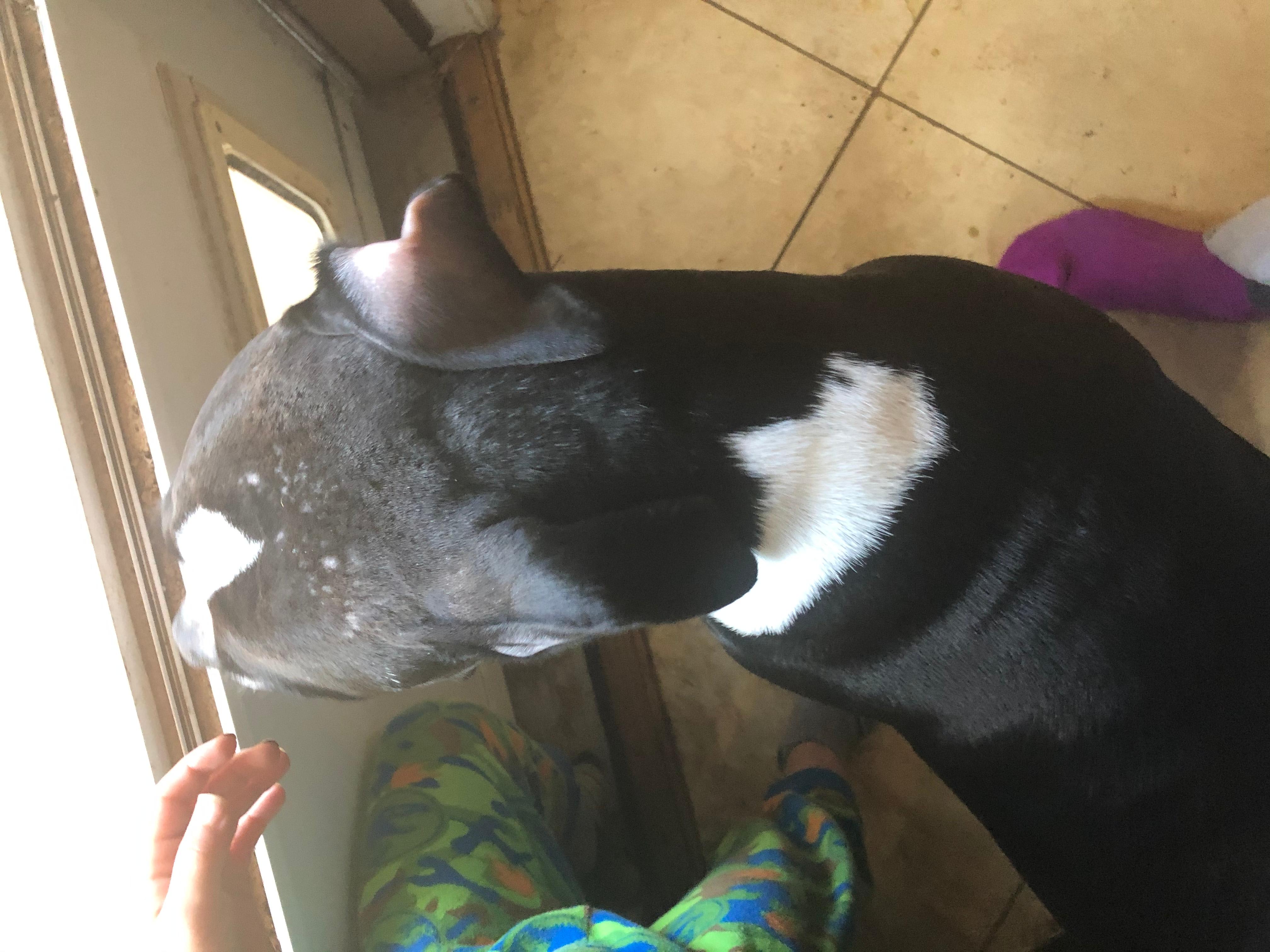 Question details sensitive content