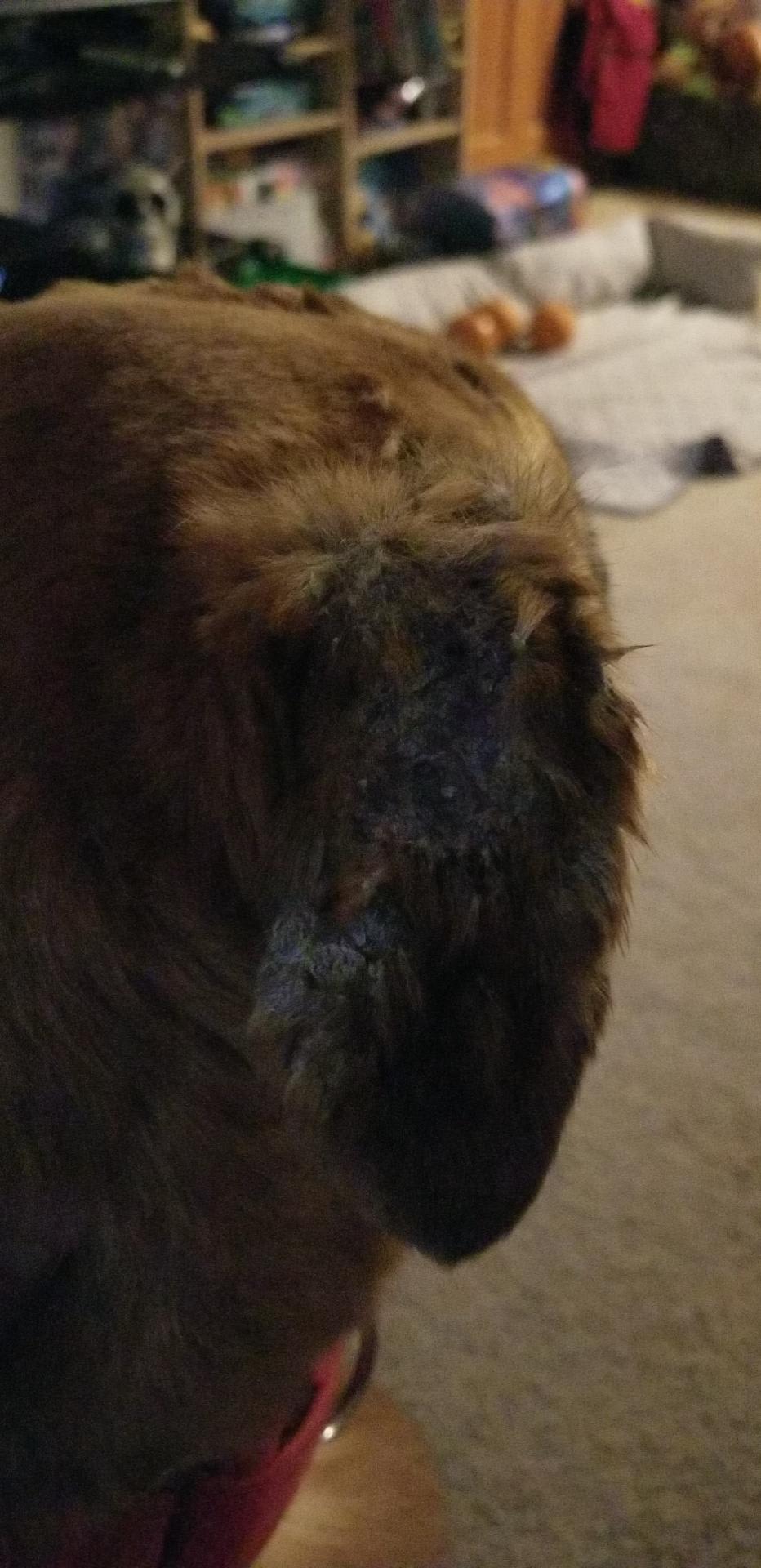 Question details sensitive content