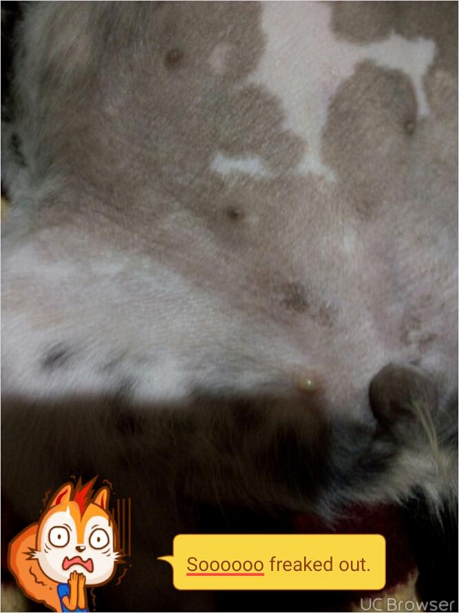 Question details sensitive content