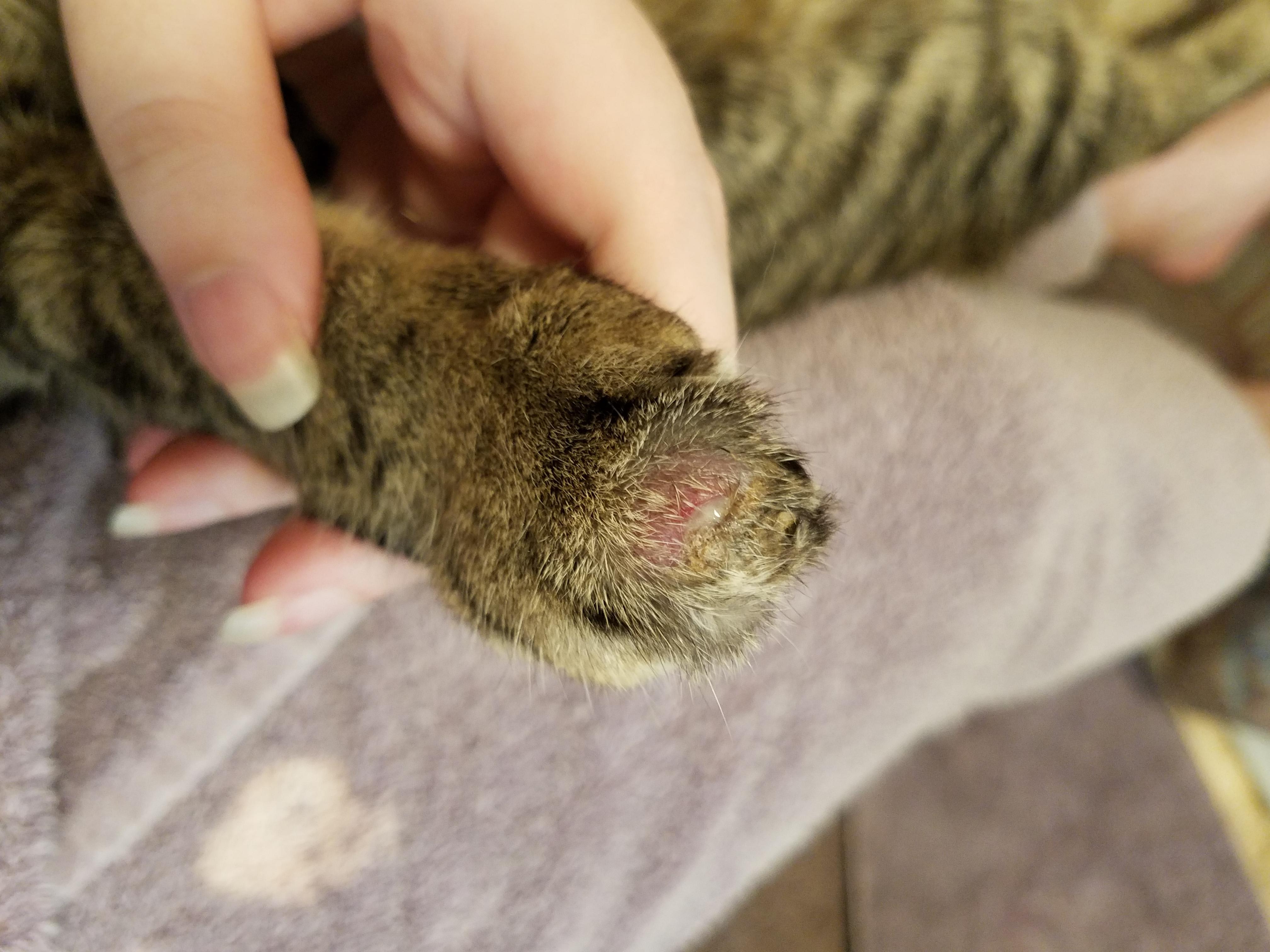 Question details sensitive content