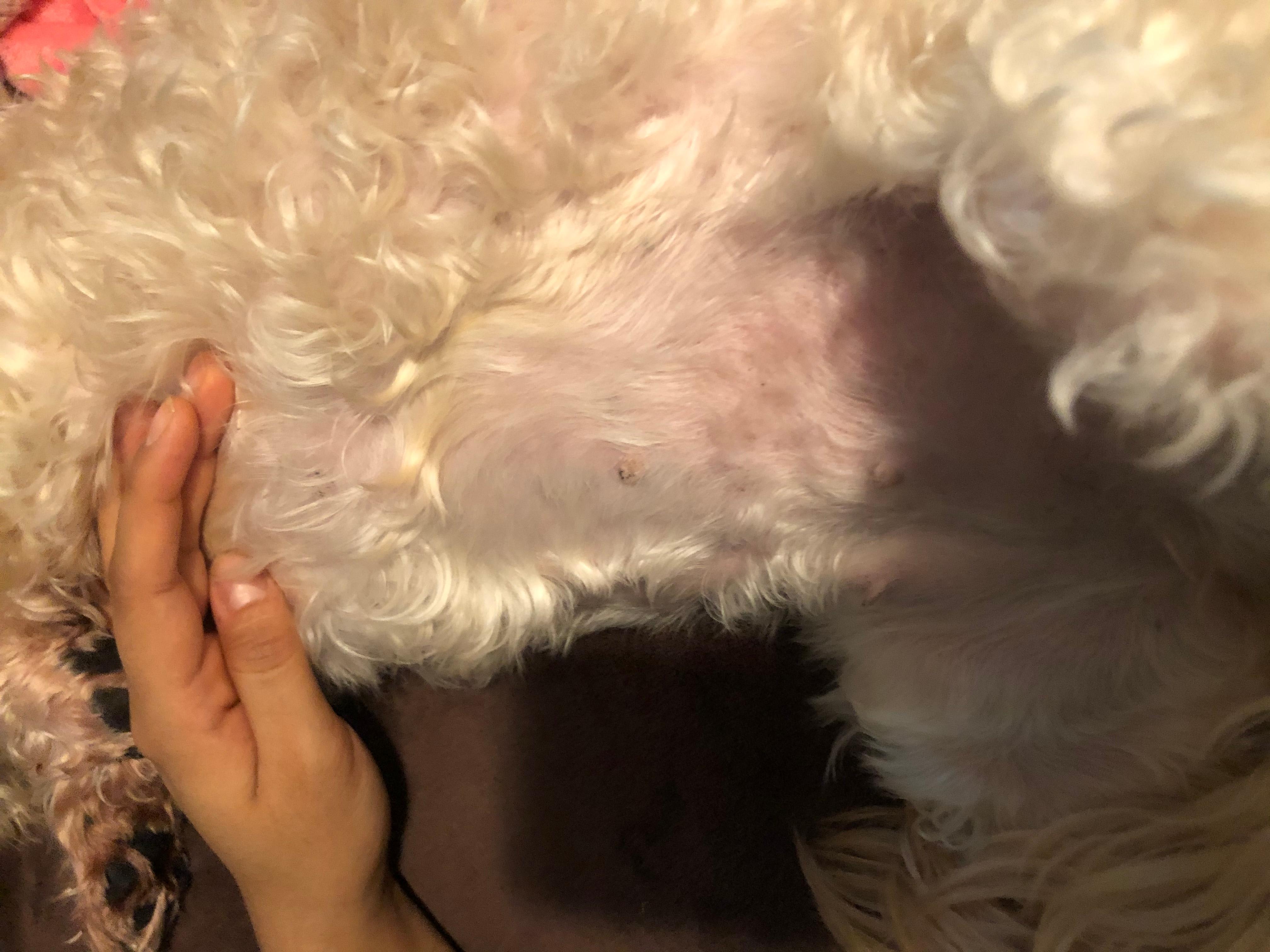 Question details sensitive content