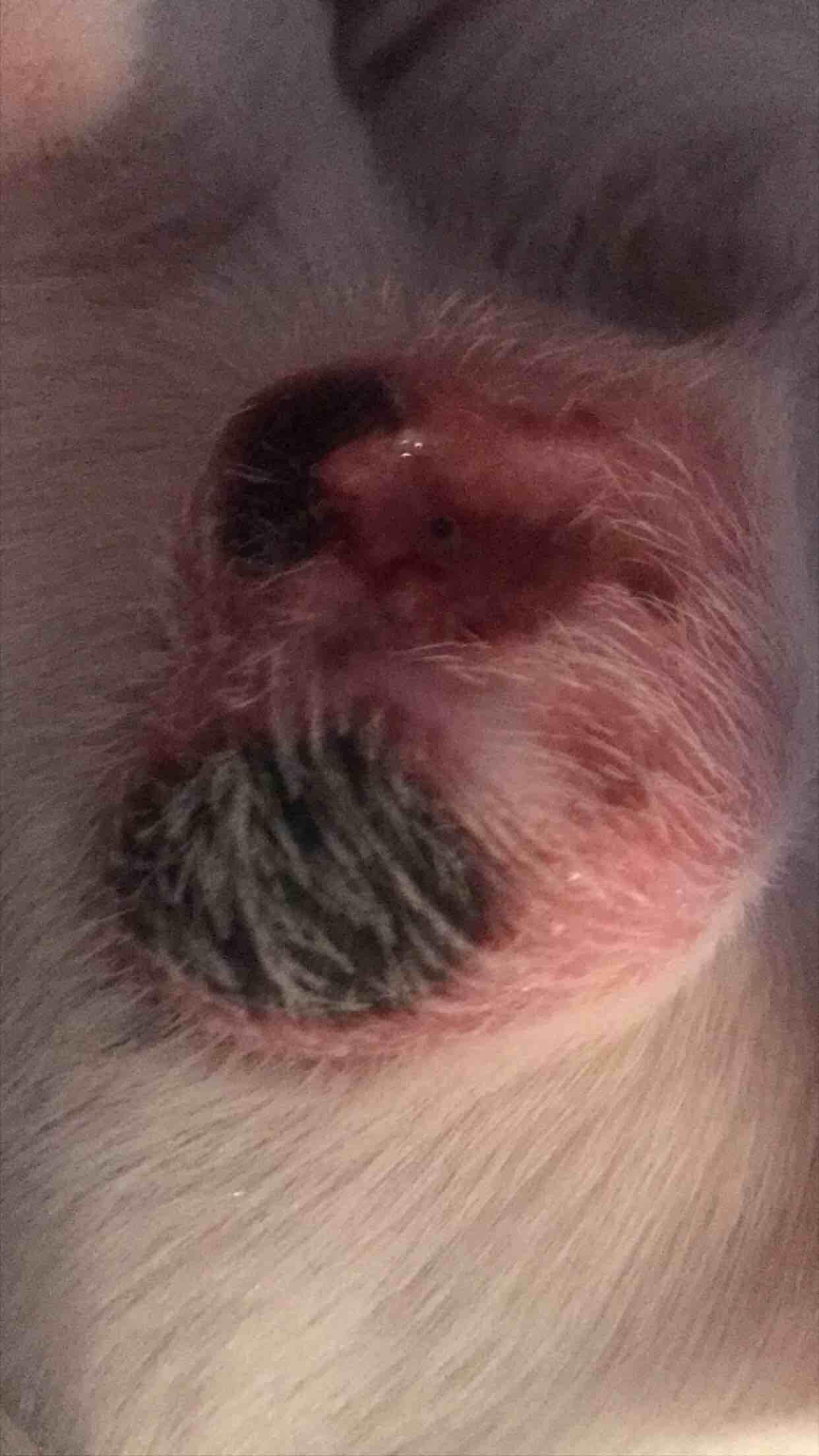 Question details sensitive content