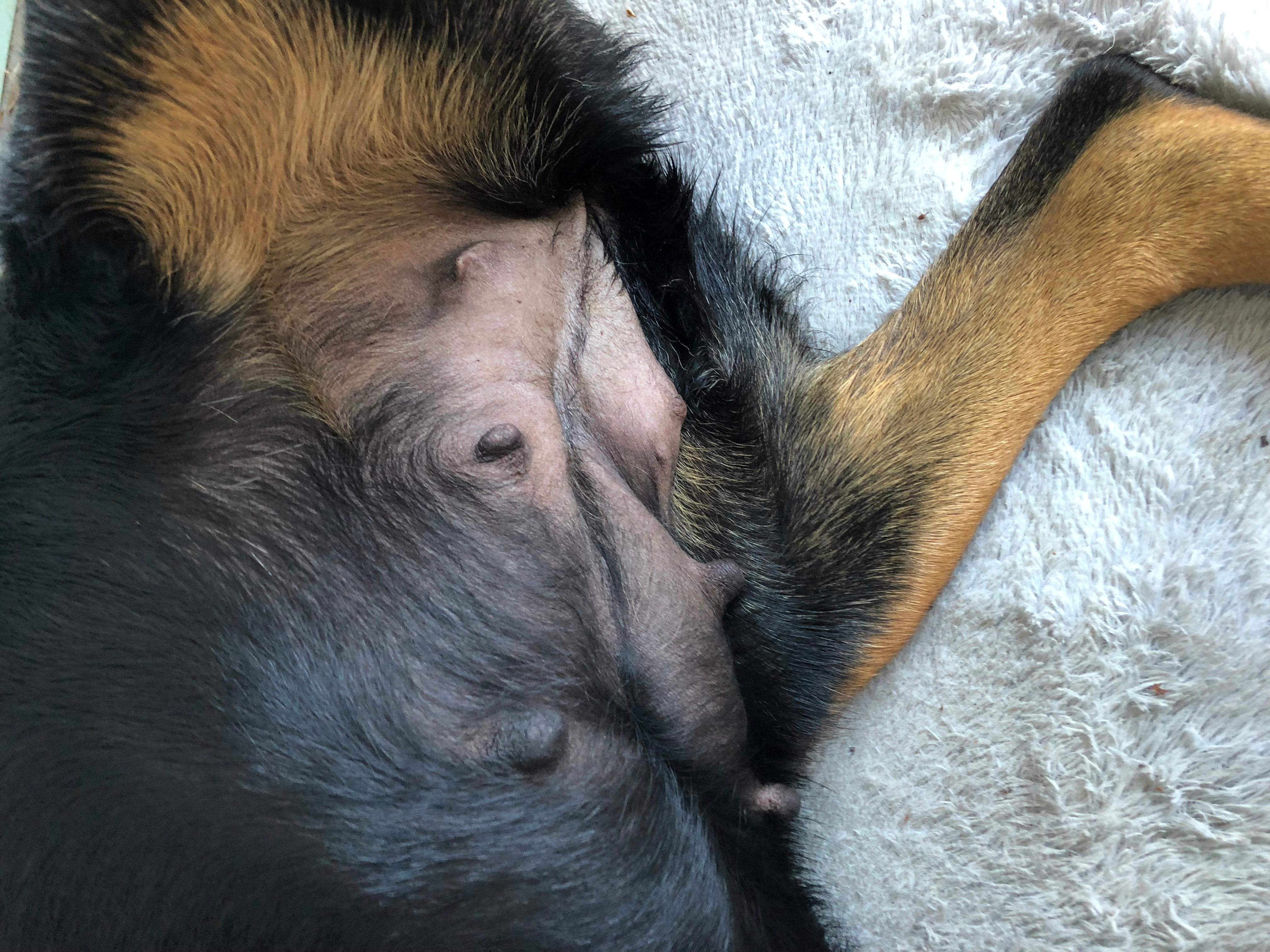 Question details sensitive content