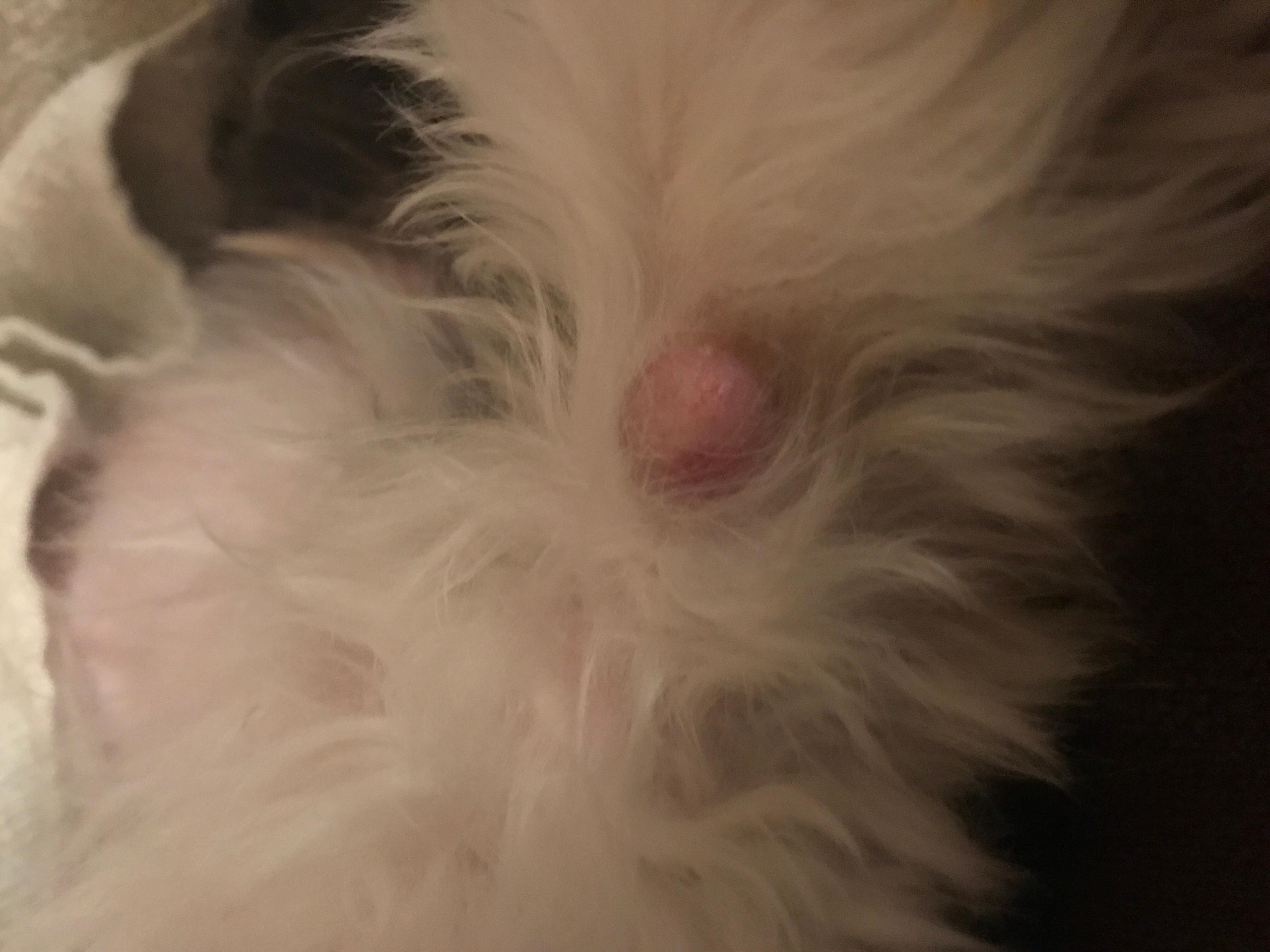 Question details sensitive content