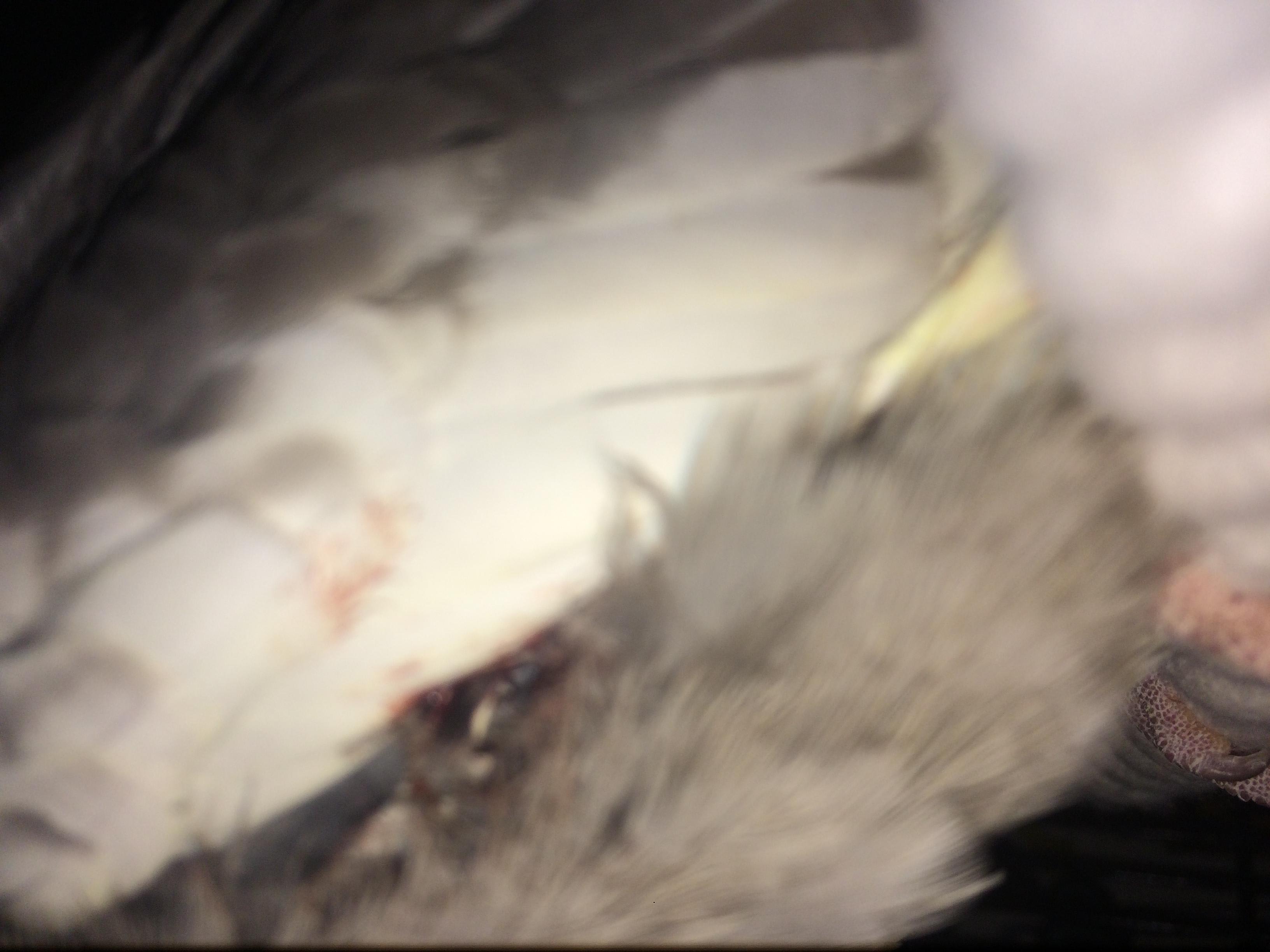 Question details sensitive content