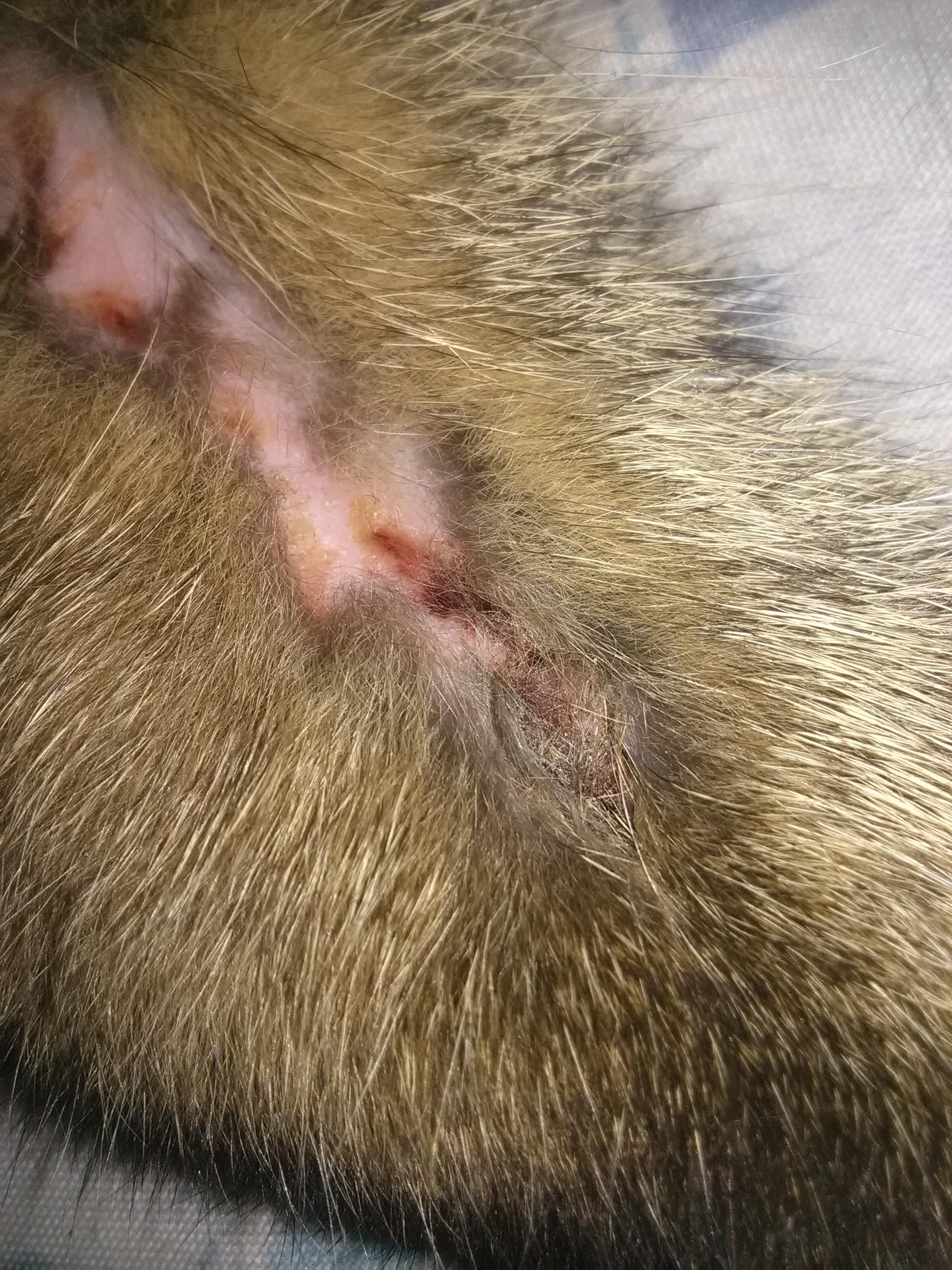 Question details sensitive content