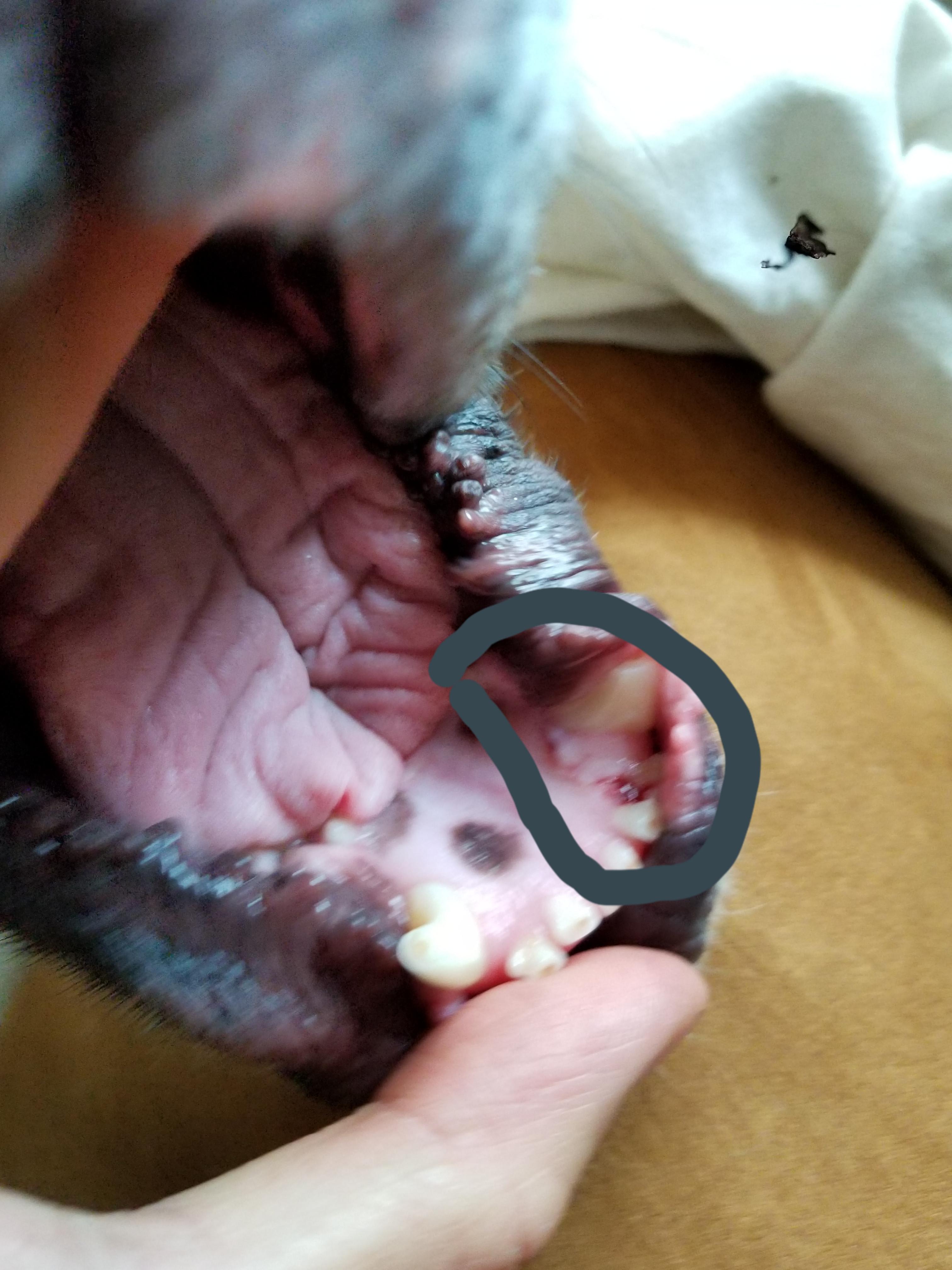 Question details sensitive content