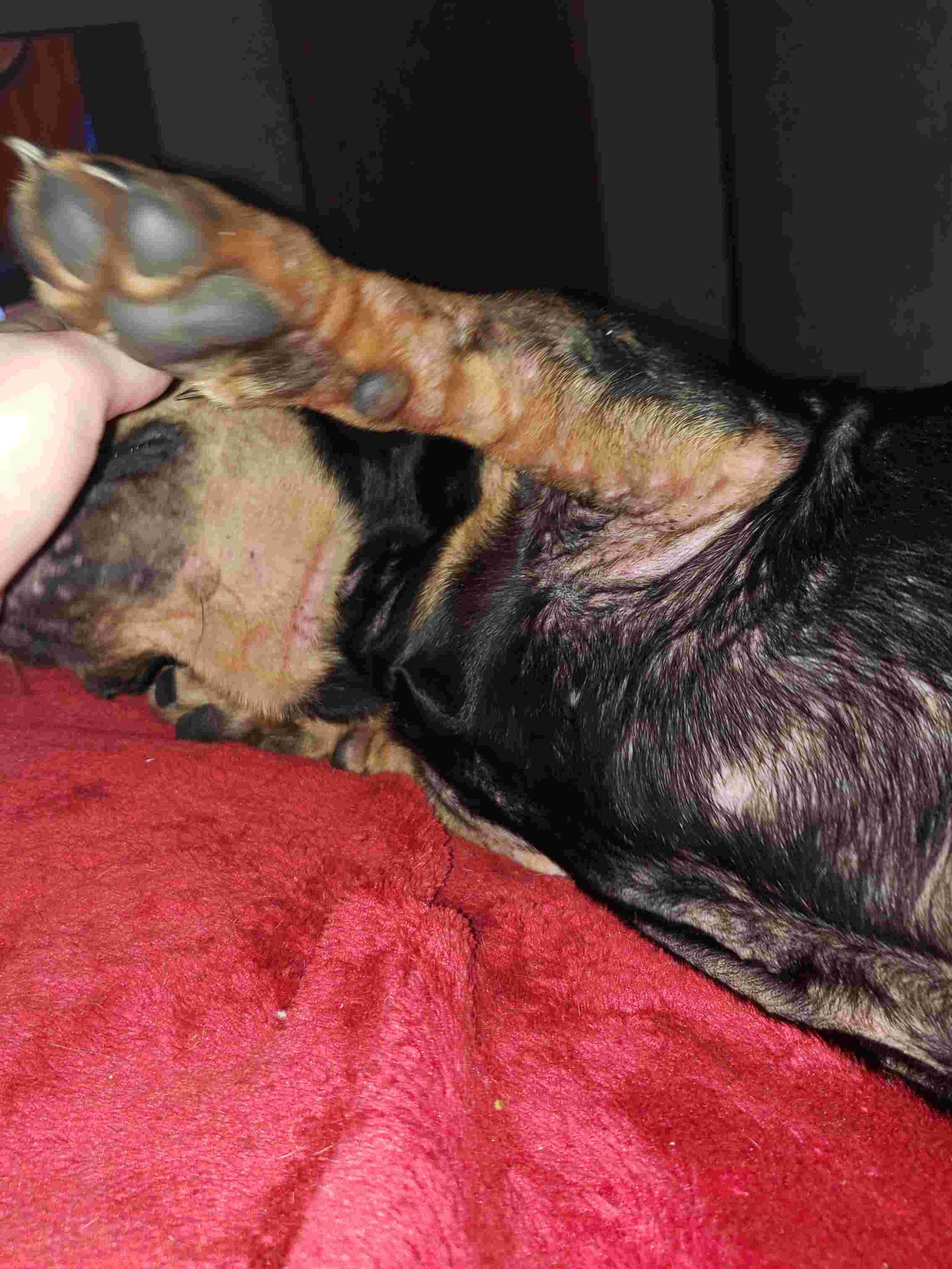 Question details sensitive content