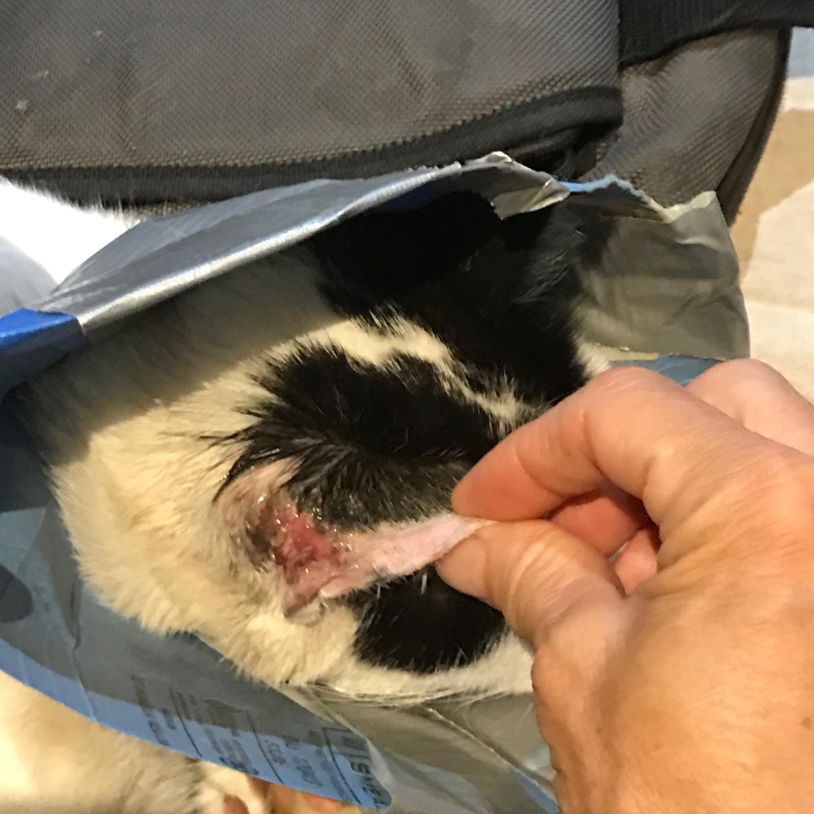 Question details sensitive content